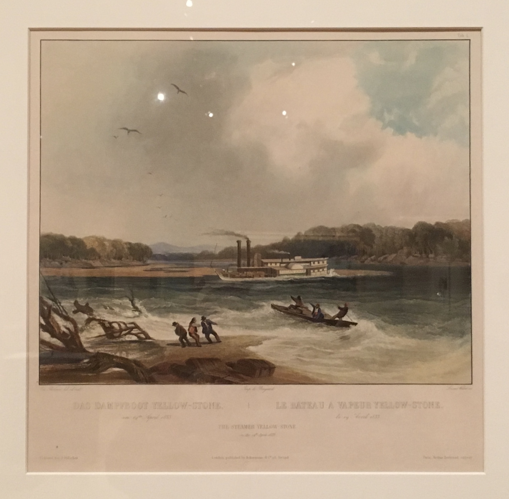 fullsizeoutput_1c351