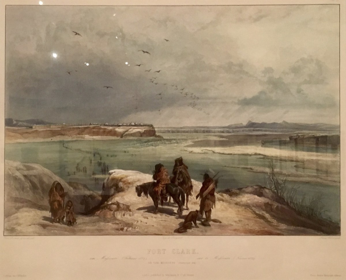 fullsizeoutput_1c354