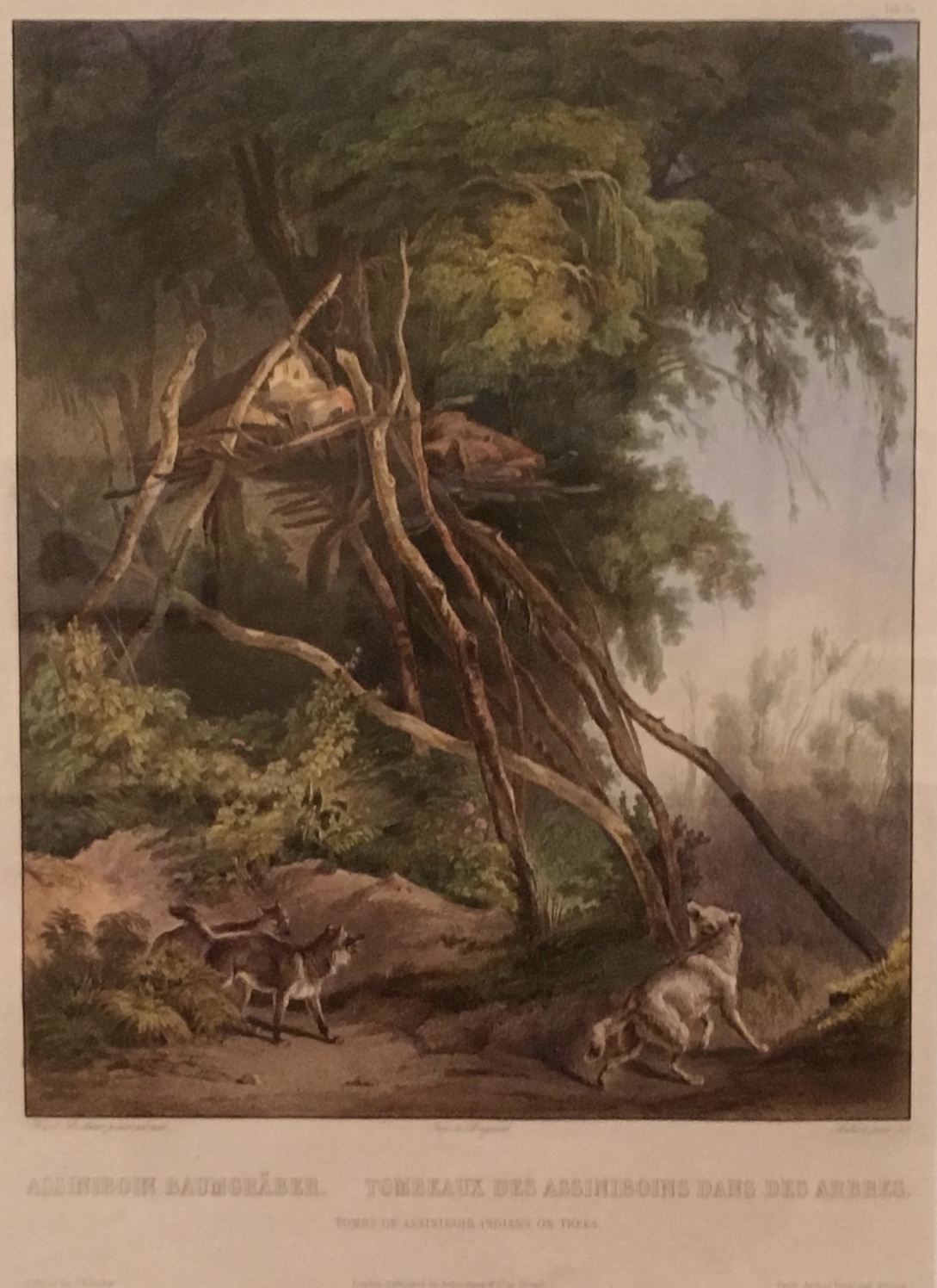 fullsizeoutput_1c357