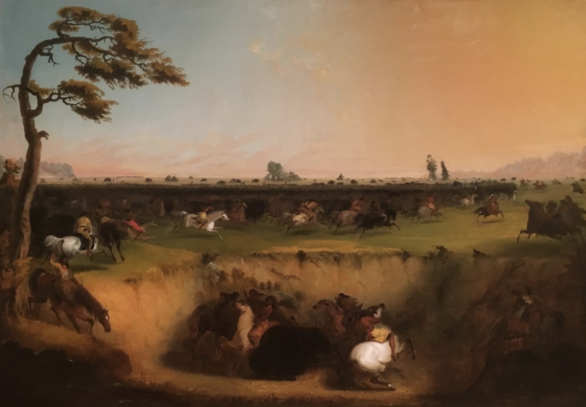 fullsizeoutput_1c35c