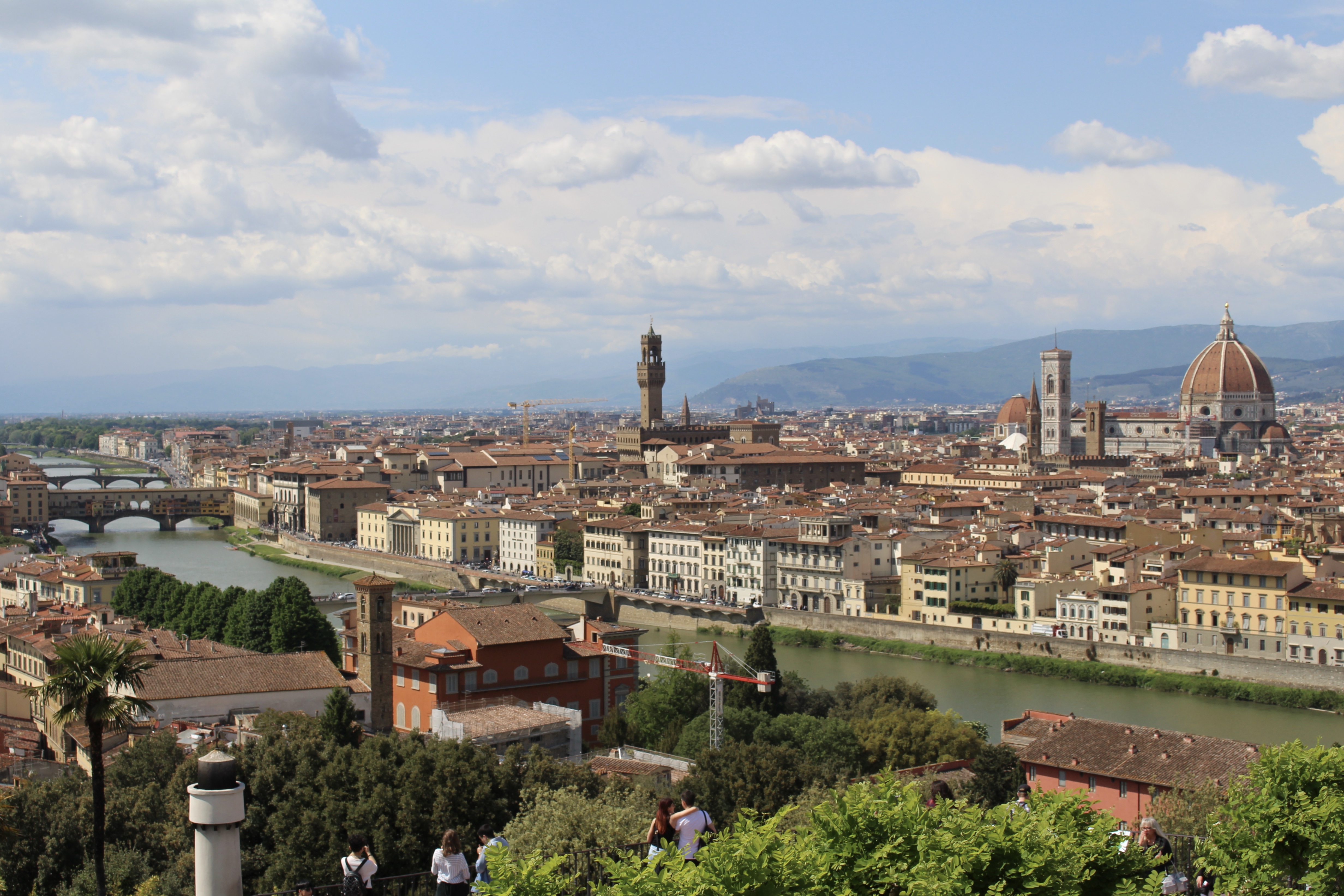 fullsizeoutput_1d755