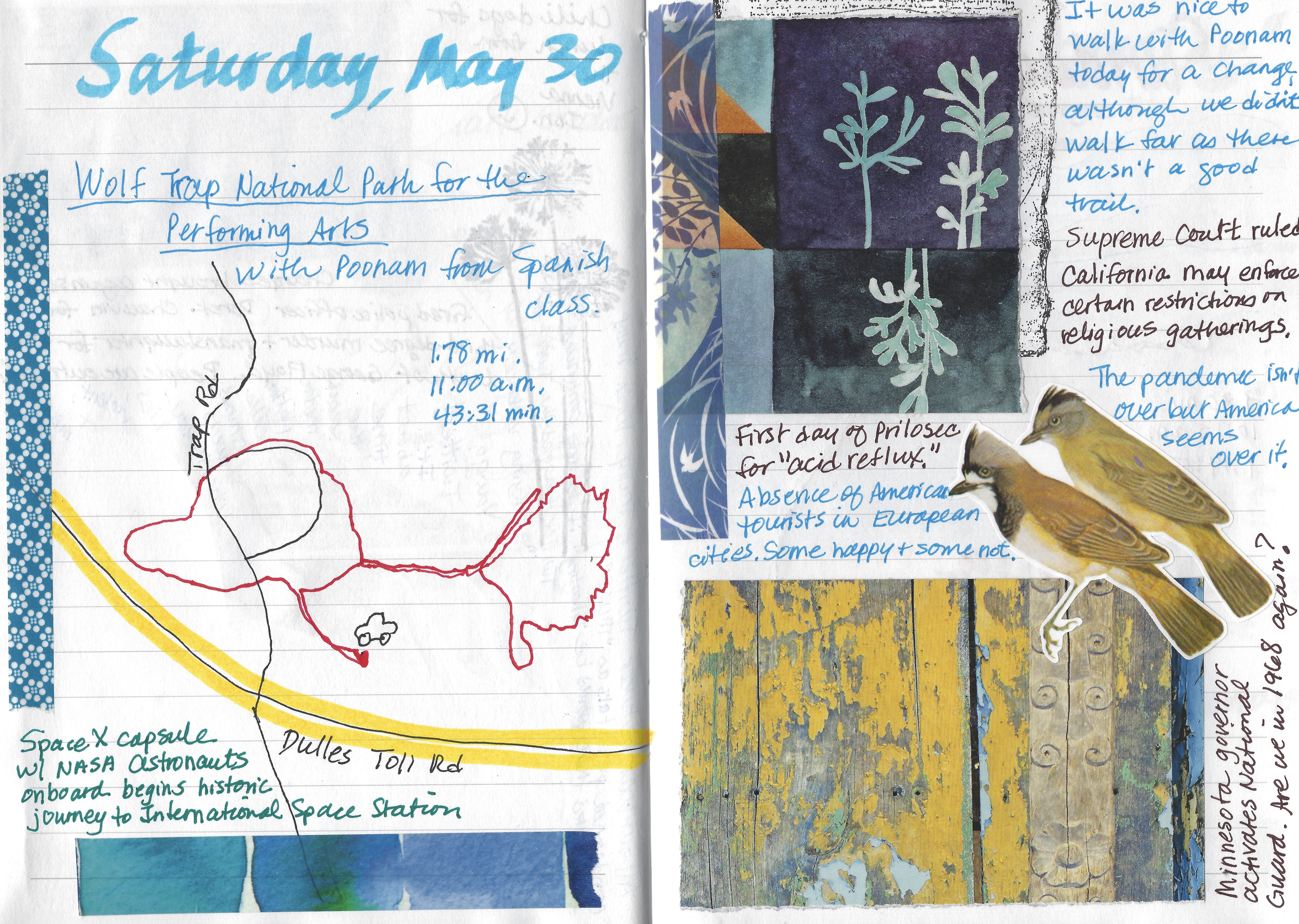 fullsizeoutput_1d797