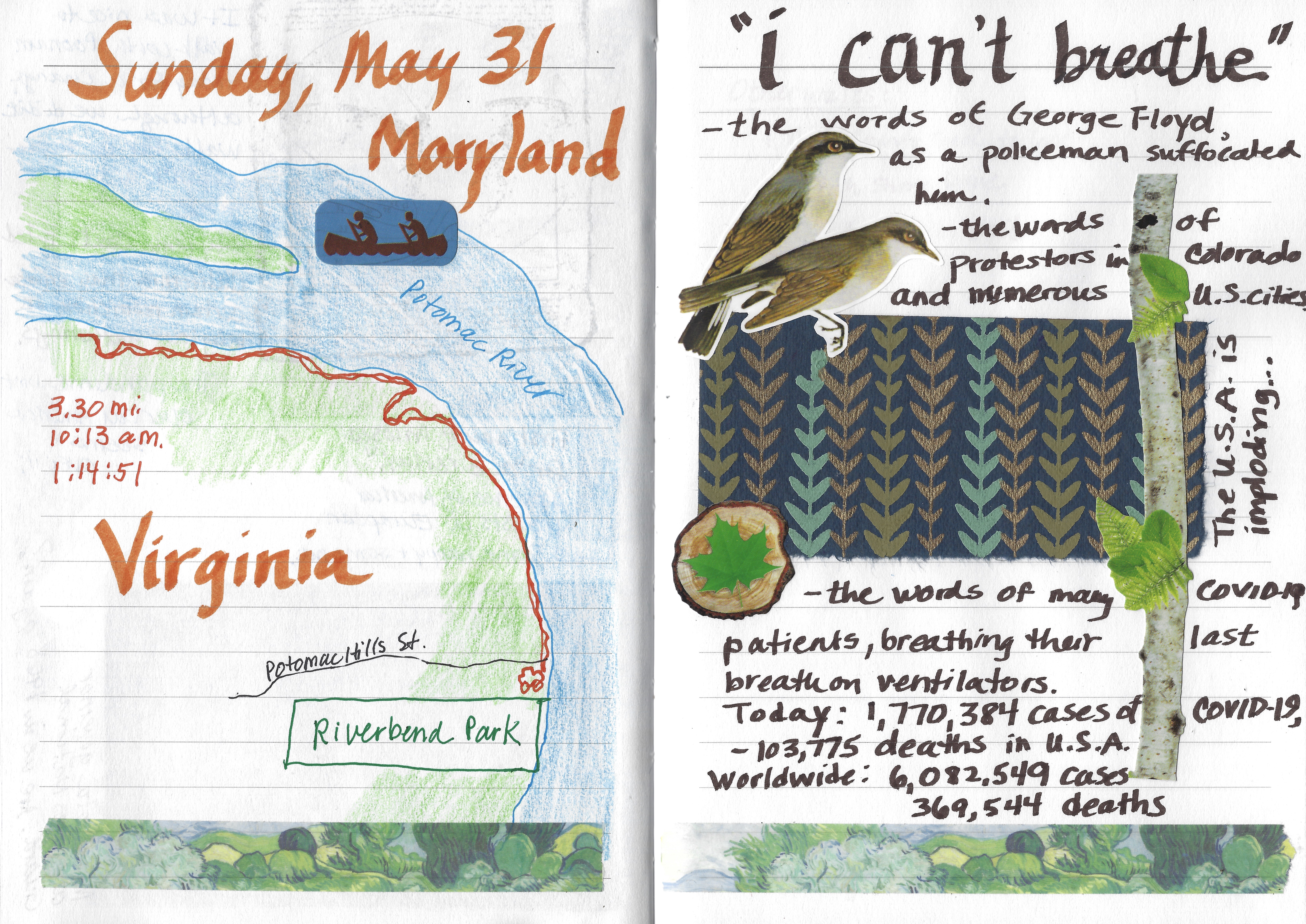 fullsizeoutput_1d79b