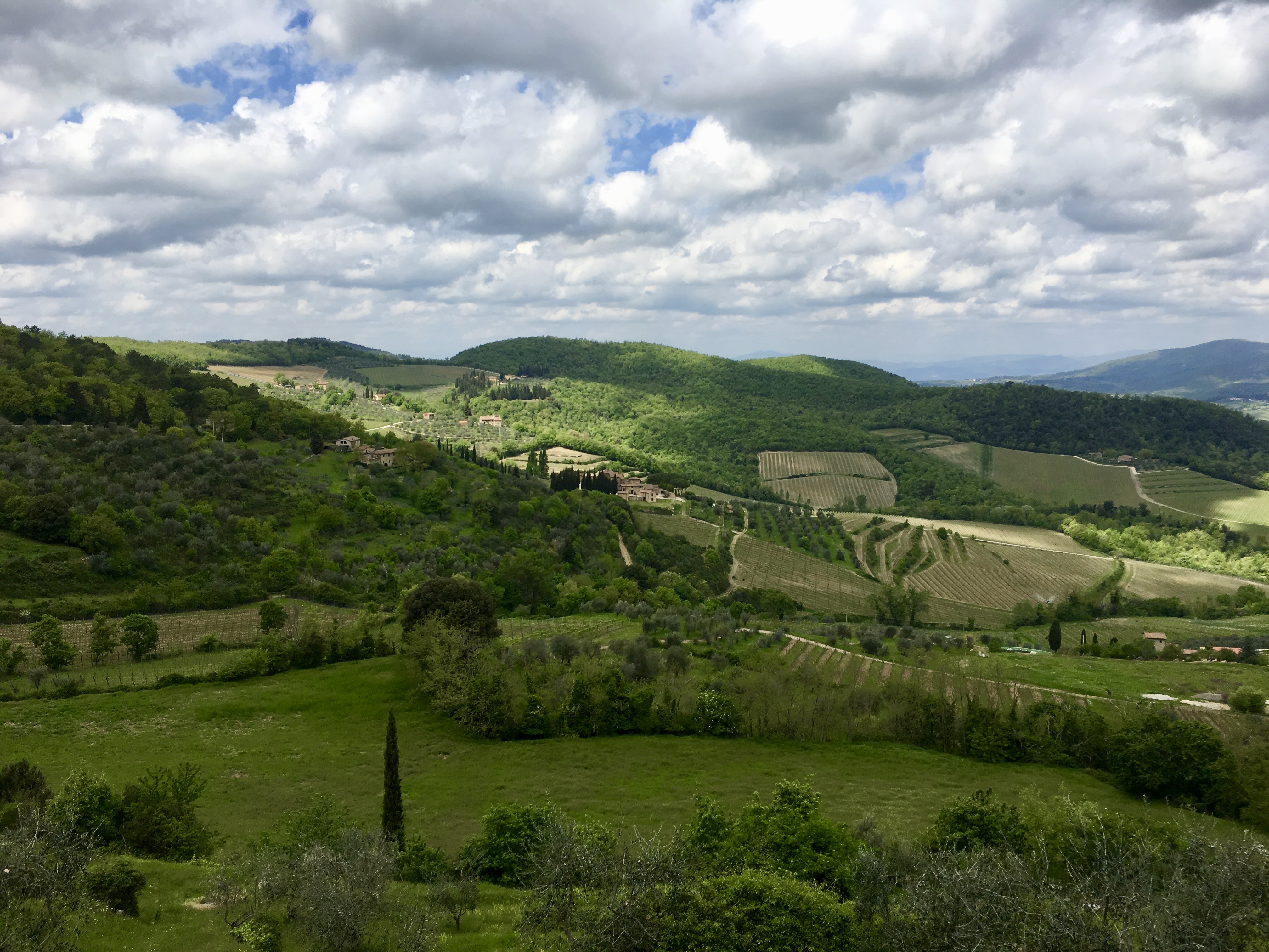 fullsizeoutput_1d7c7