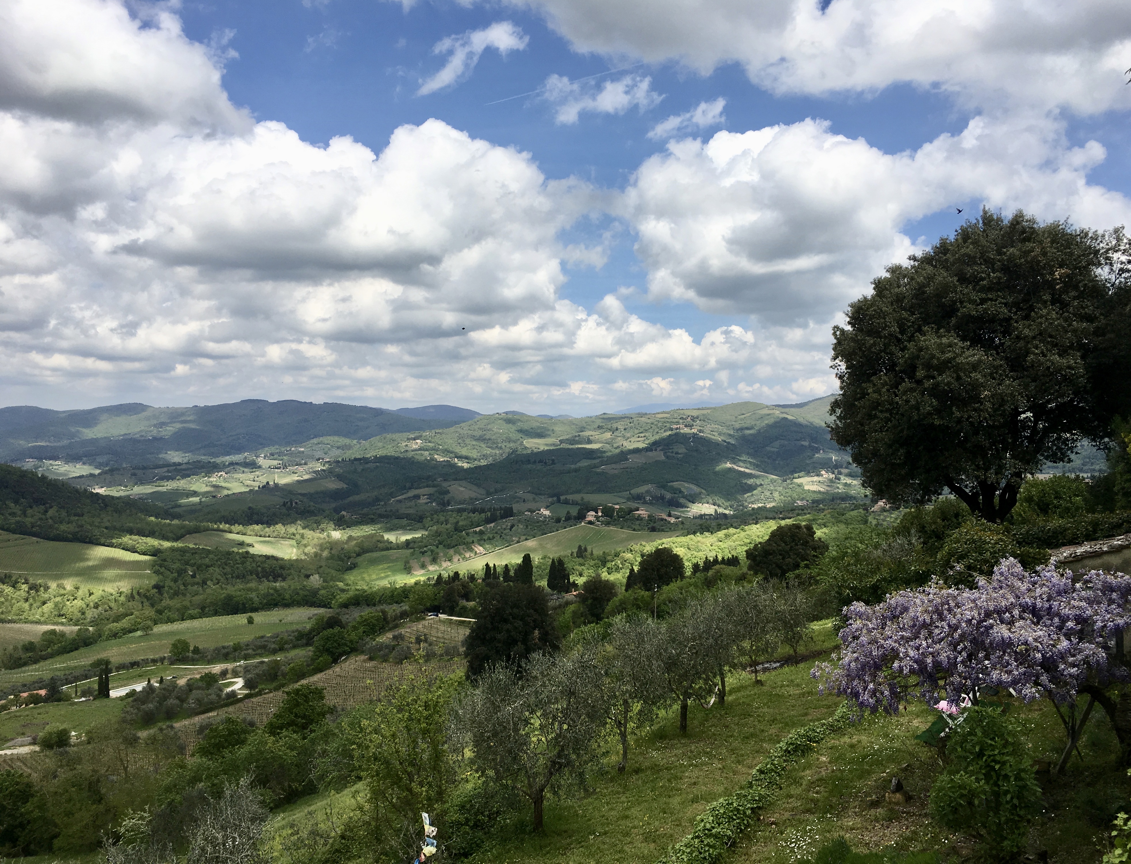 fullsizeoutput_1d7c9