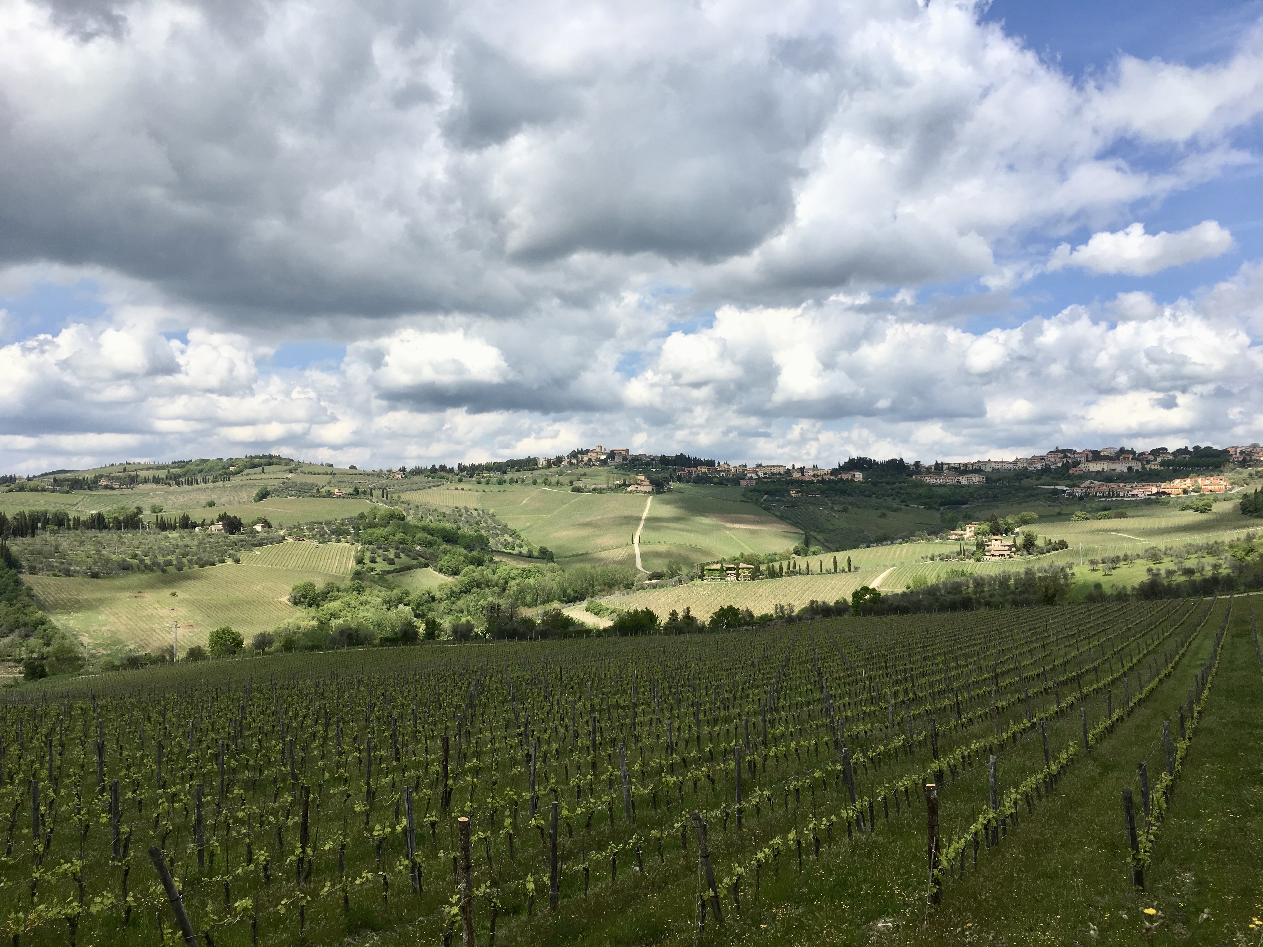 fullsizeoutput_1d7cc