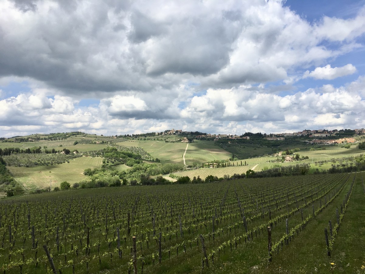 fullsizeoutput_1d7cc