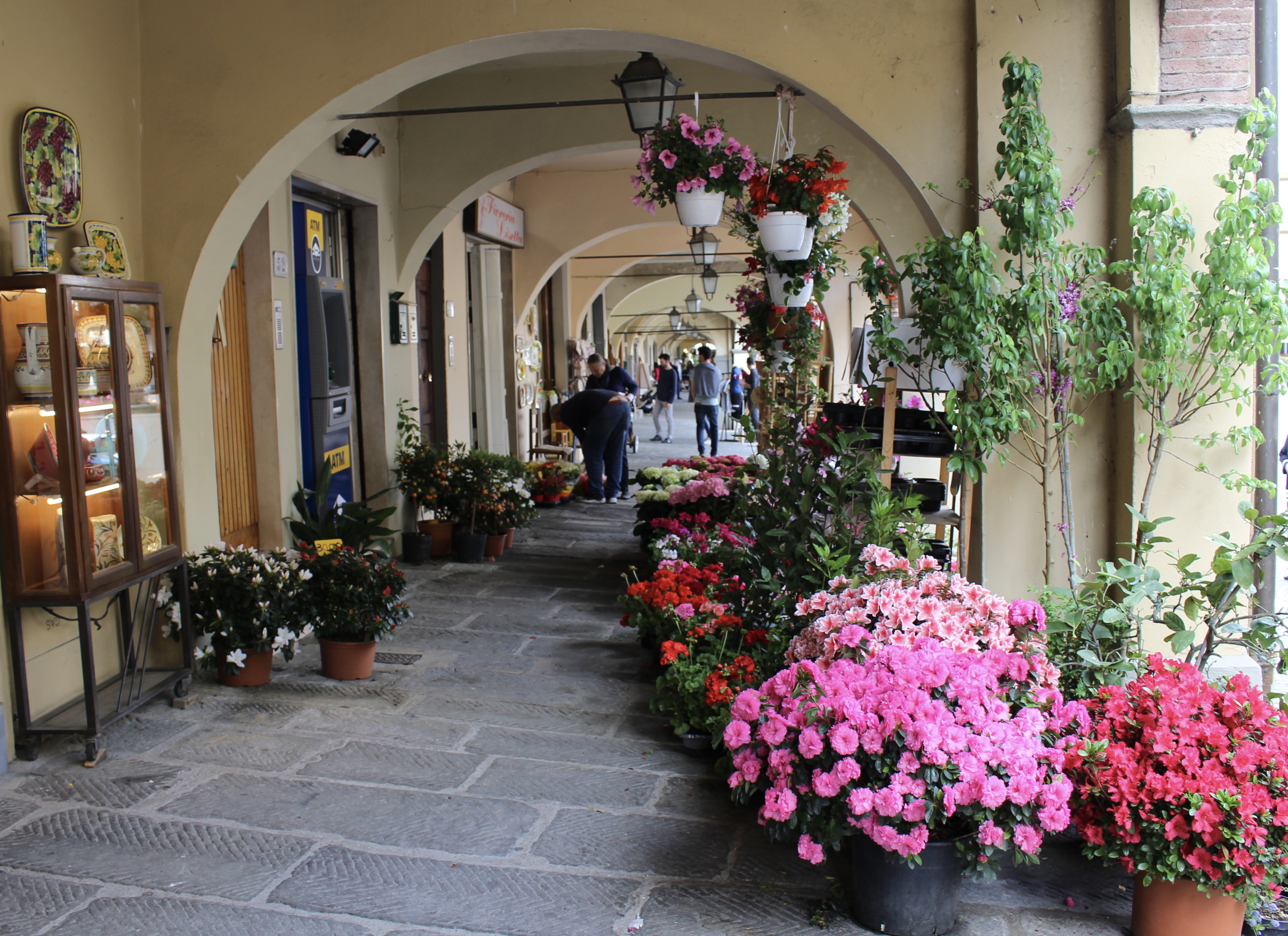 fullsizeoutput_1d7d7