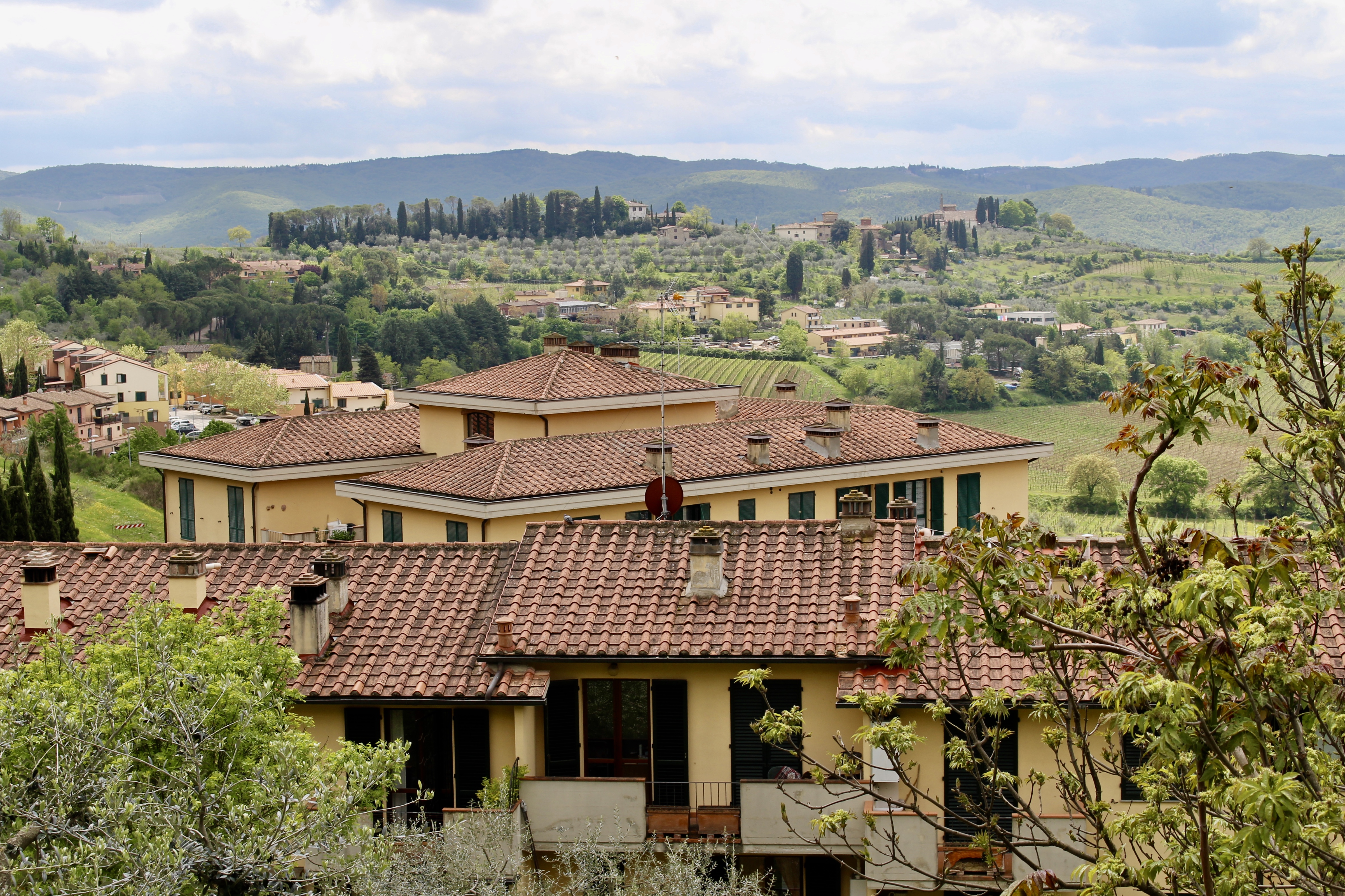 fullsizeoutput_1d7df