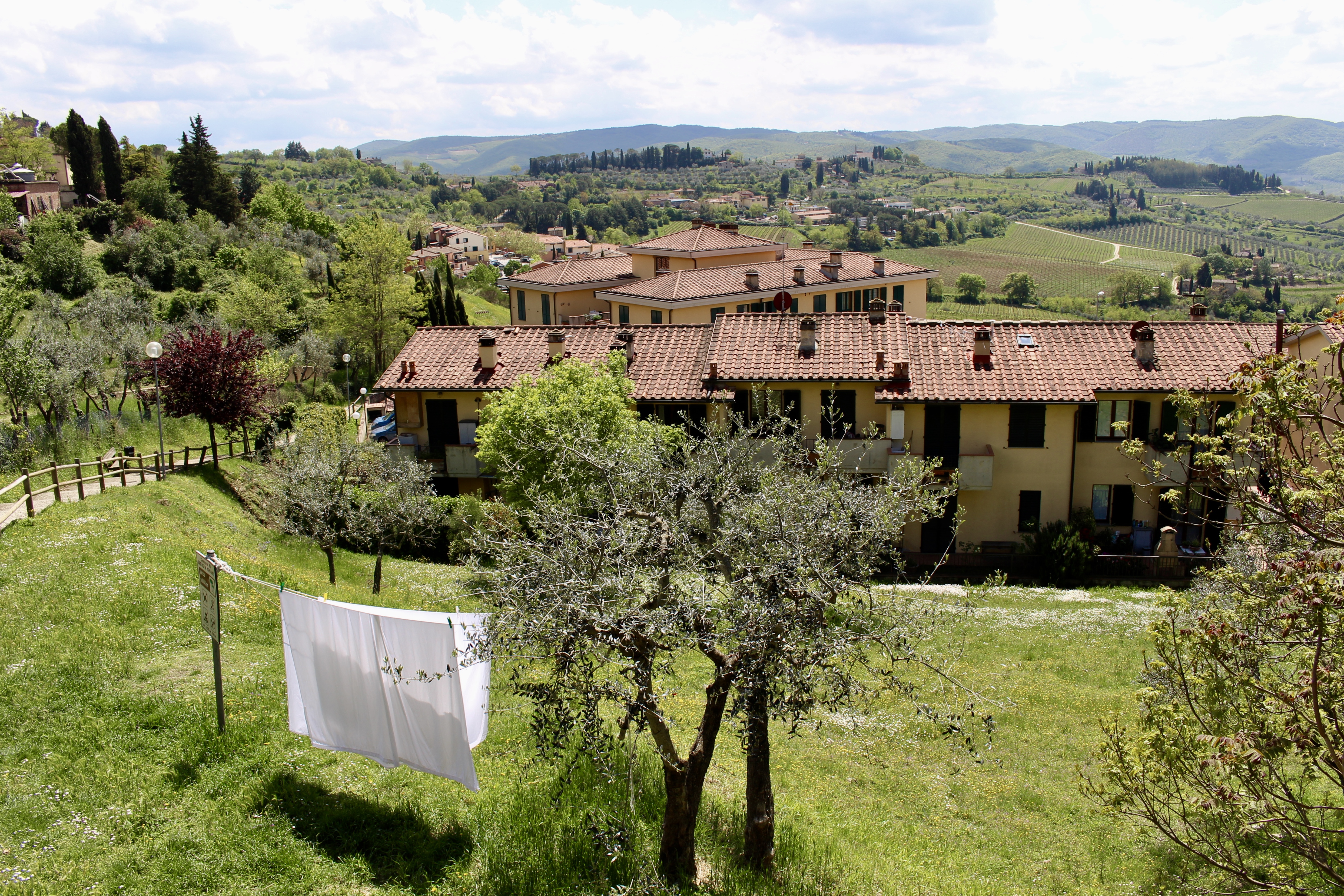 fullsizeoutput_1d7e0