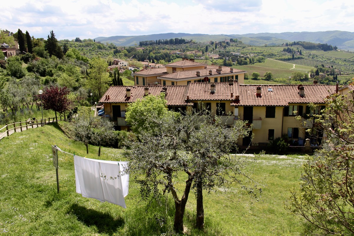 fullsizeoutput_1d7e0