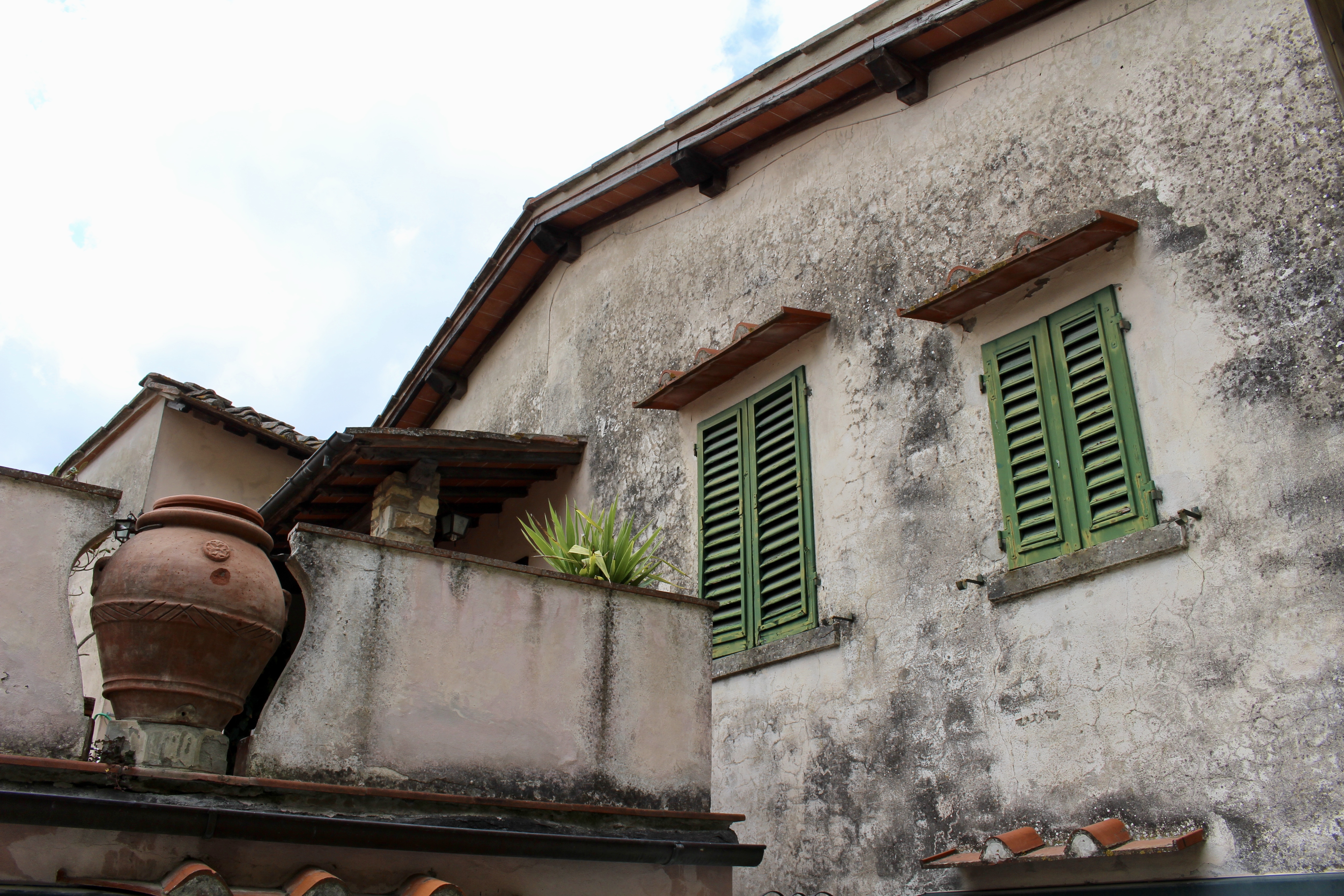 fullsizeoutput_1d7e6