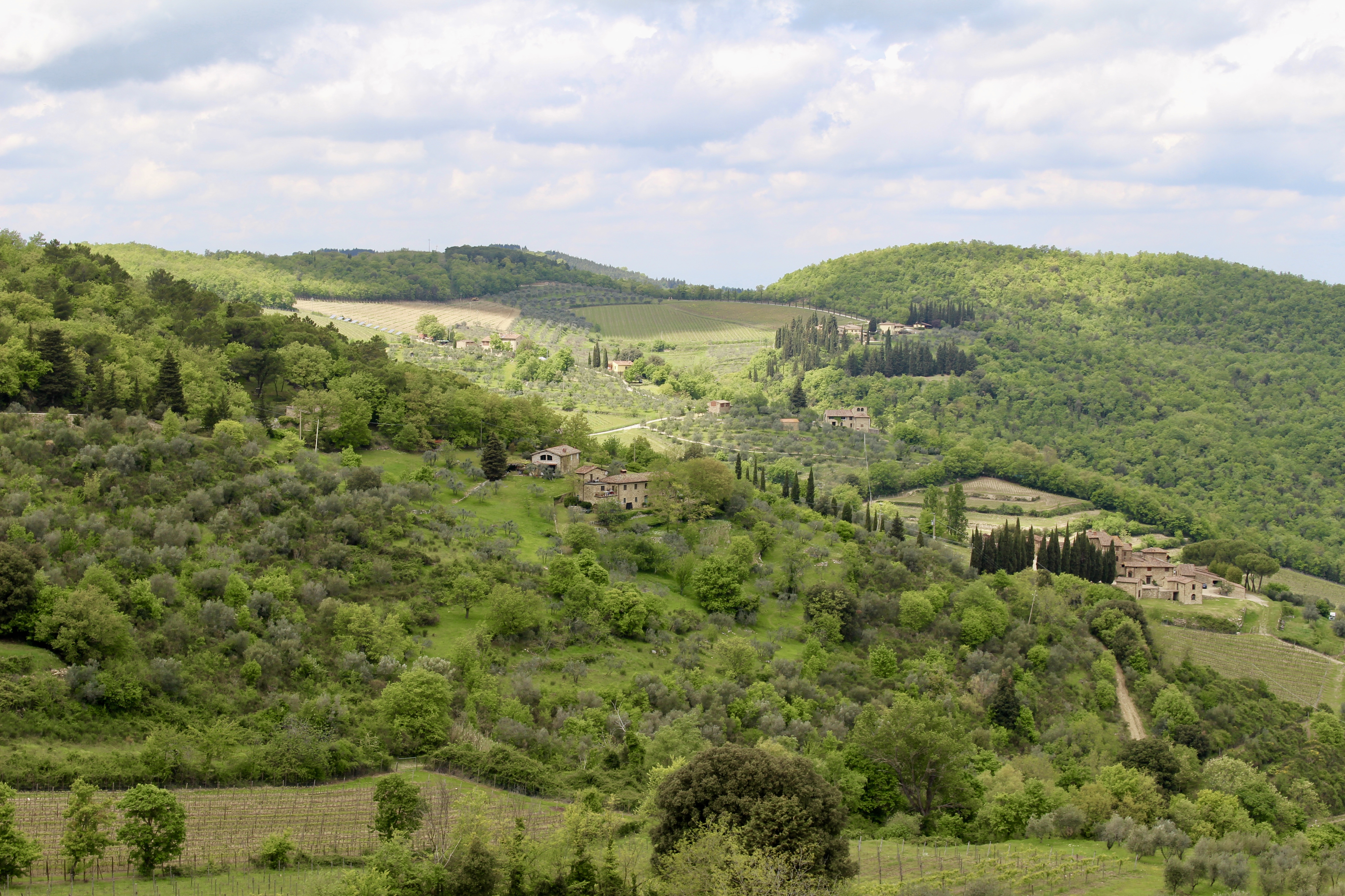 fullsizeoutput_1d7e8