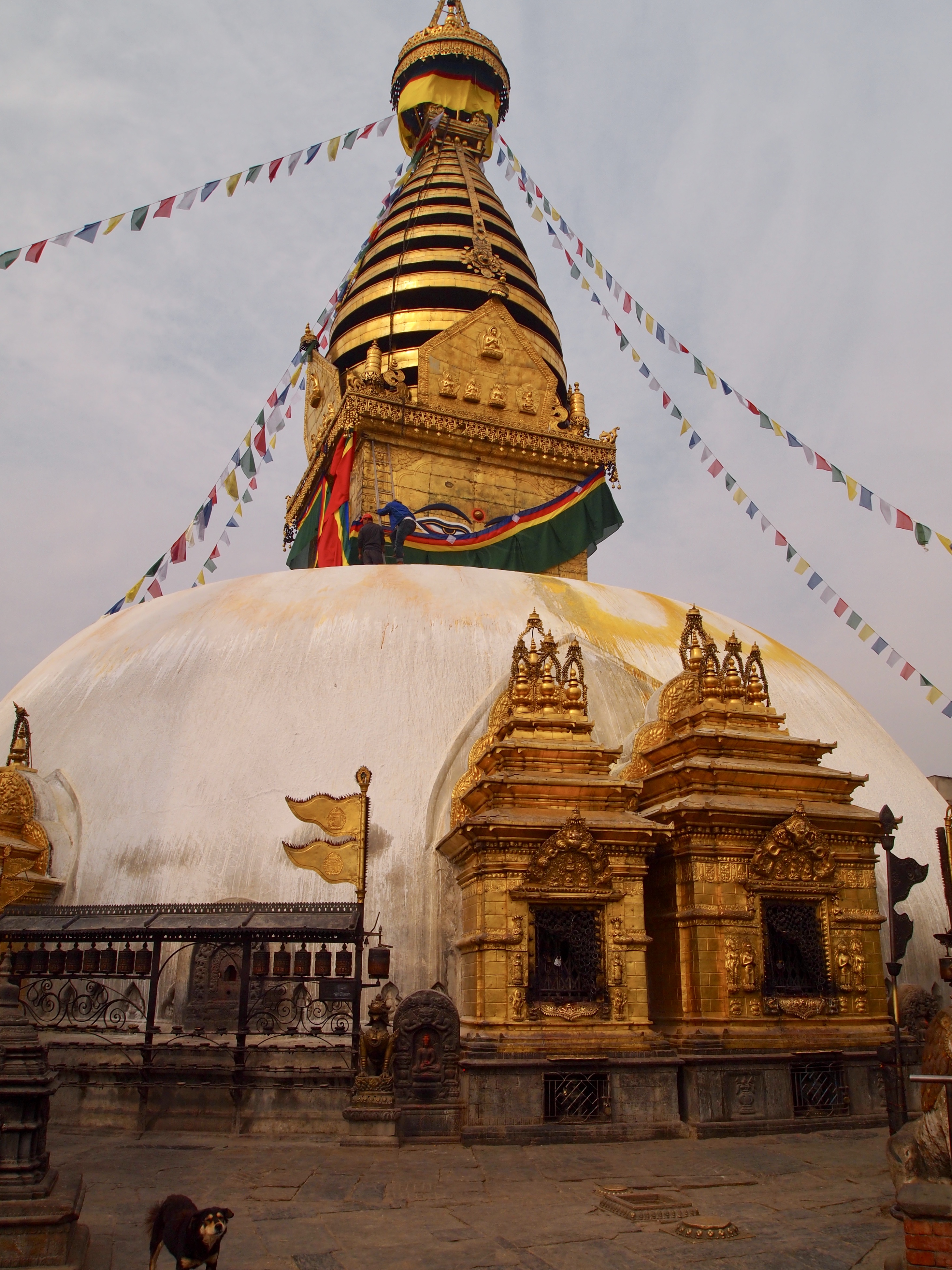 fullsizeoutput_1da5a