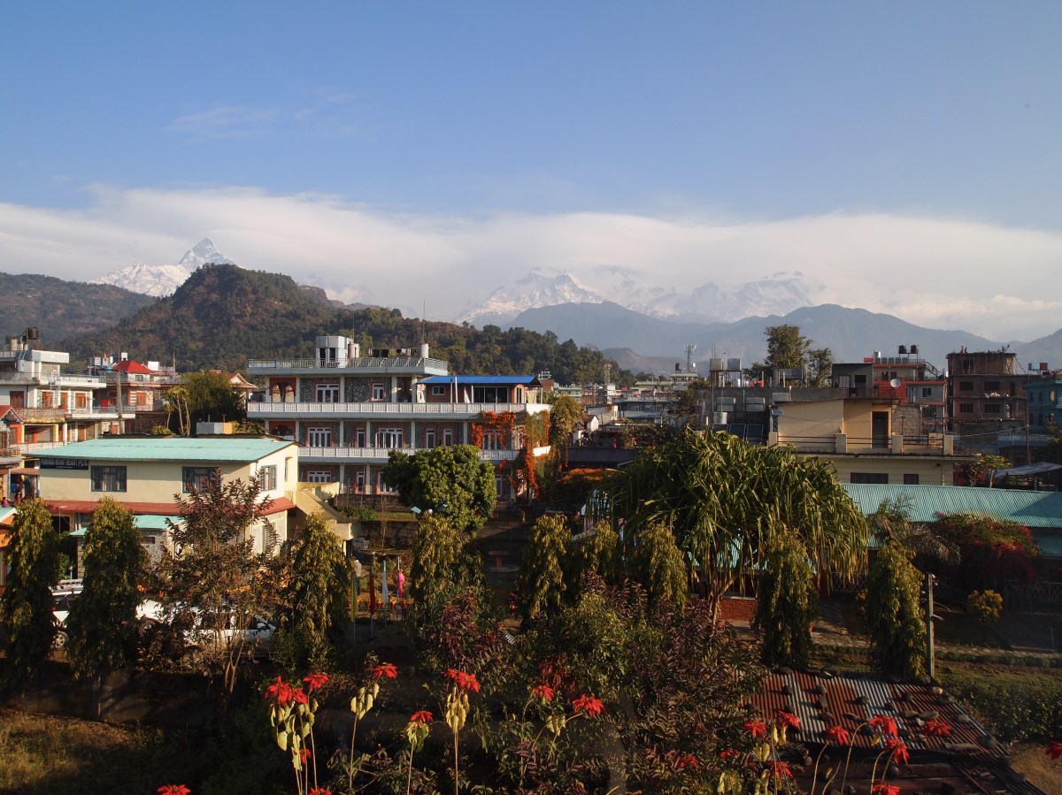 fullsizeoutput_1da5b