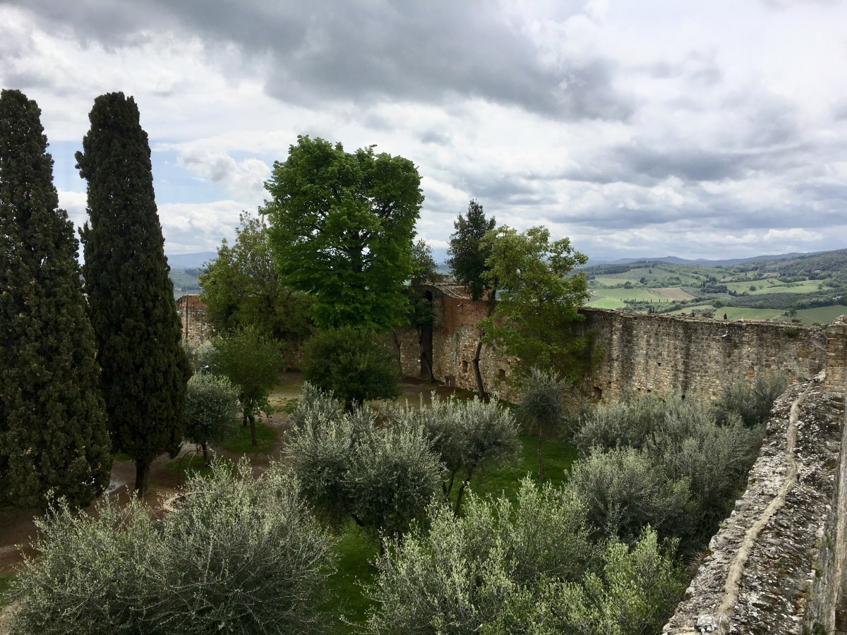 fullsizeoutput_1da85