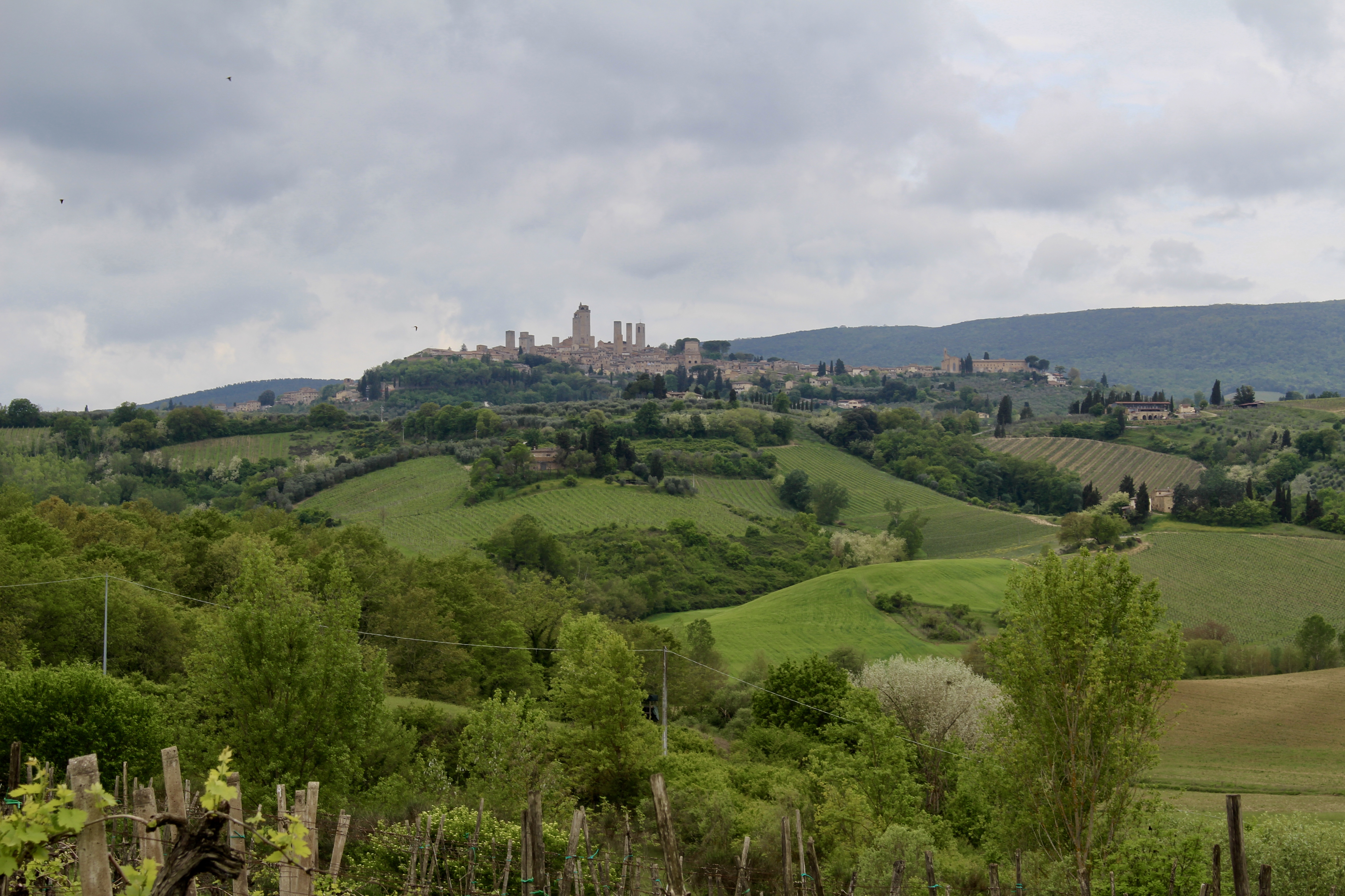 fullsizeoutput_1da9e