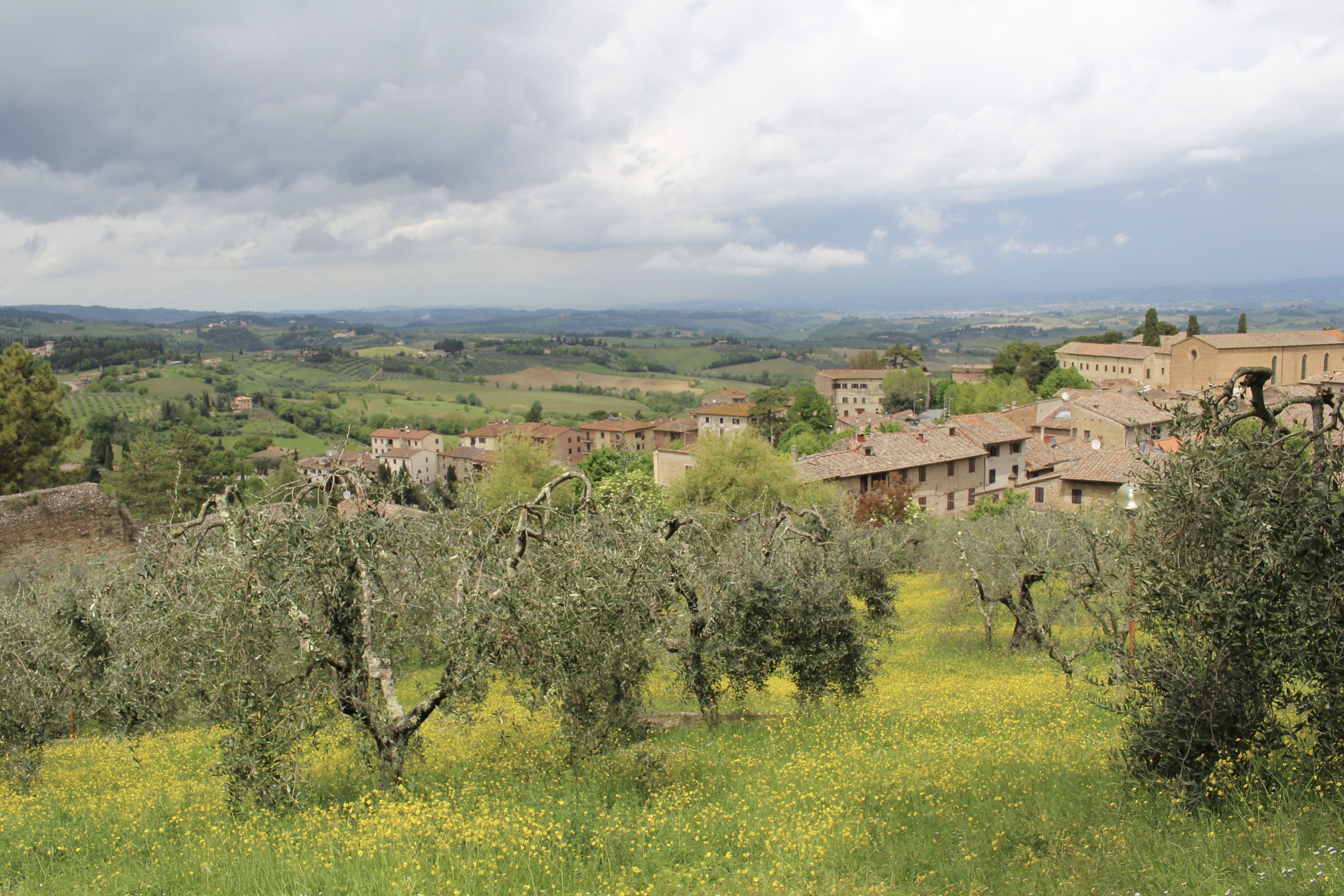 fullsizeoutput_1db1b