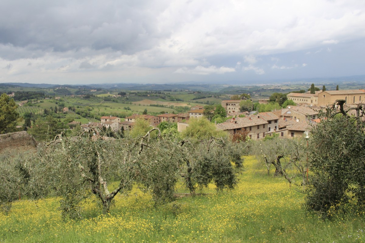 fullsizeoutput_1db1b