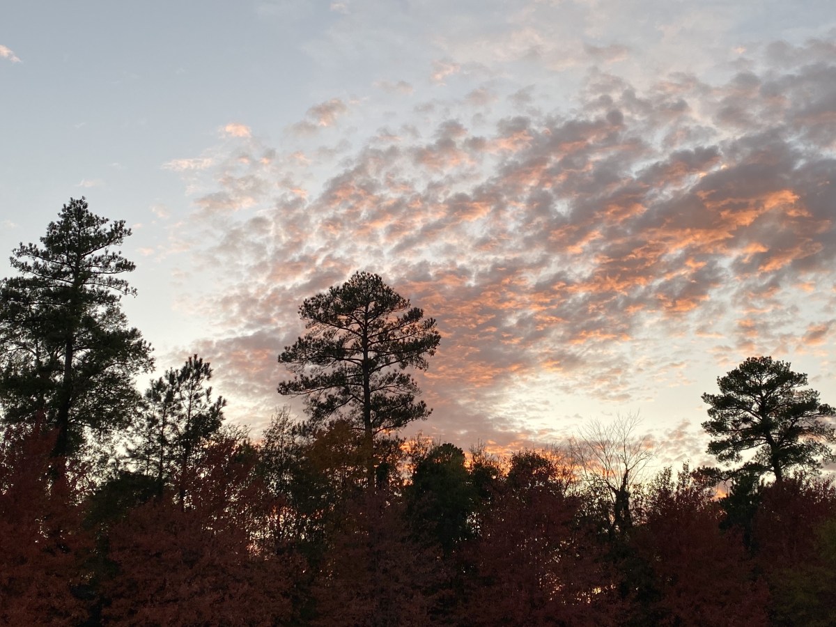 rvS4z8I4QYK%MWk9eFEKjg