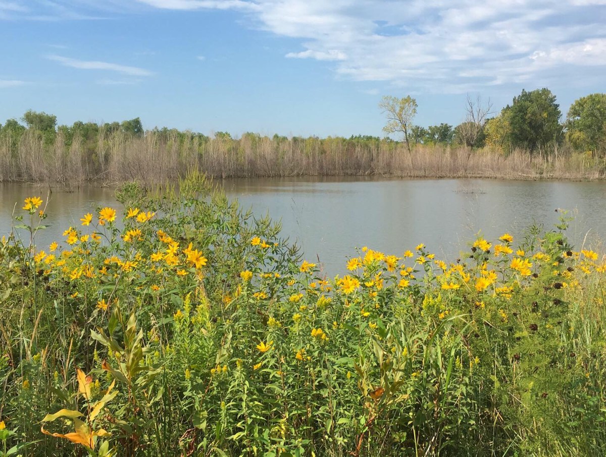 FD177E7E-3EDB-45F4-AEC7-84B027894E73