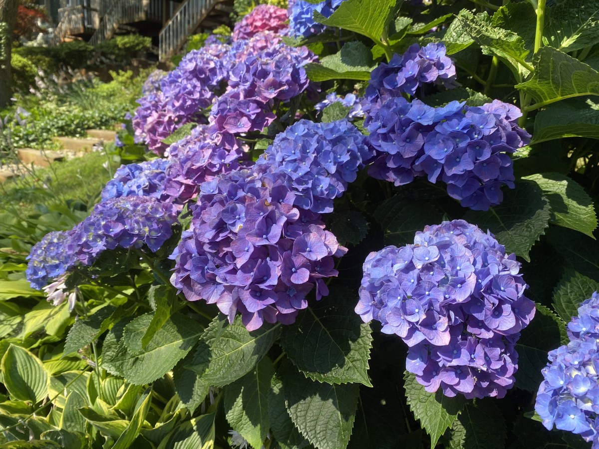 fqjBdd7dRSaetKt9afgRFQ