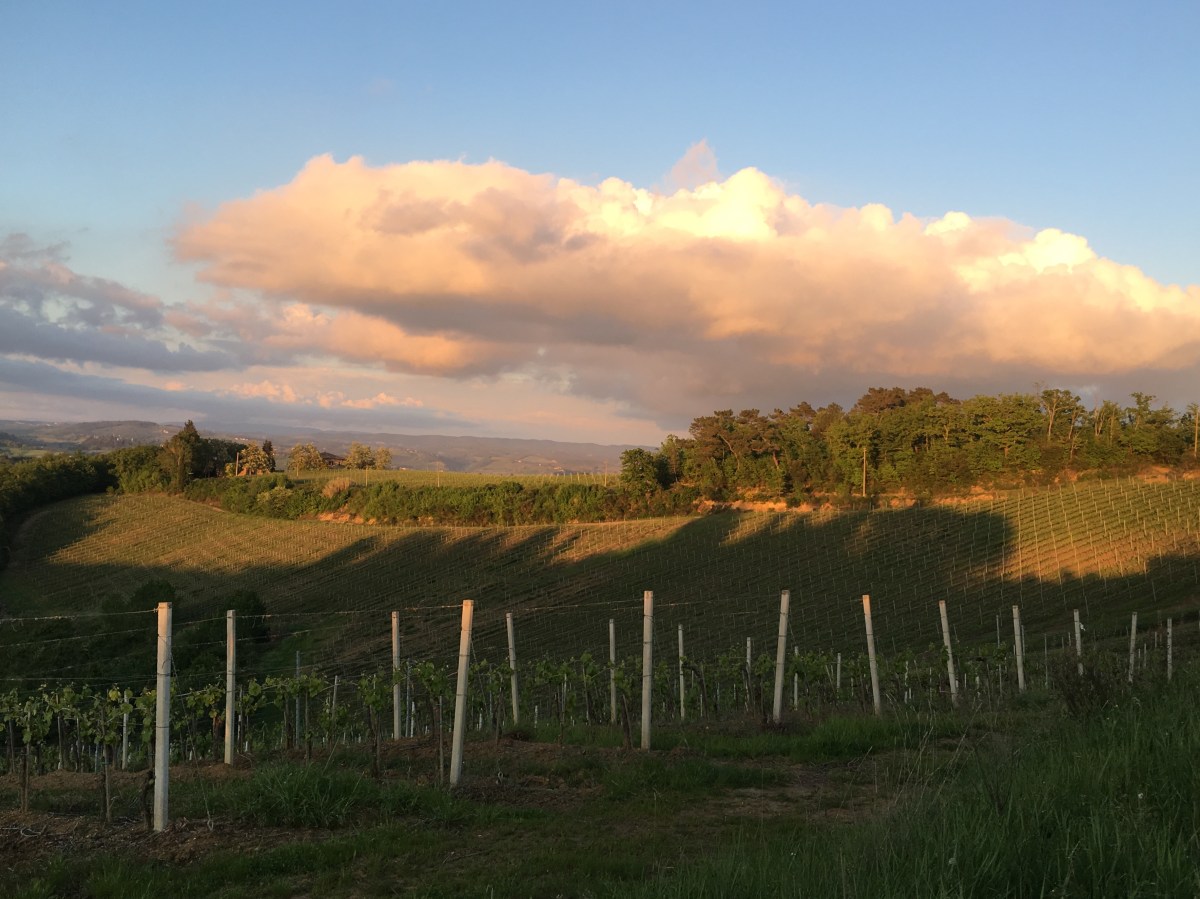 fullsizeoutput_185d1