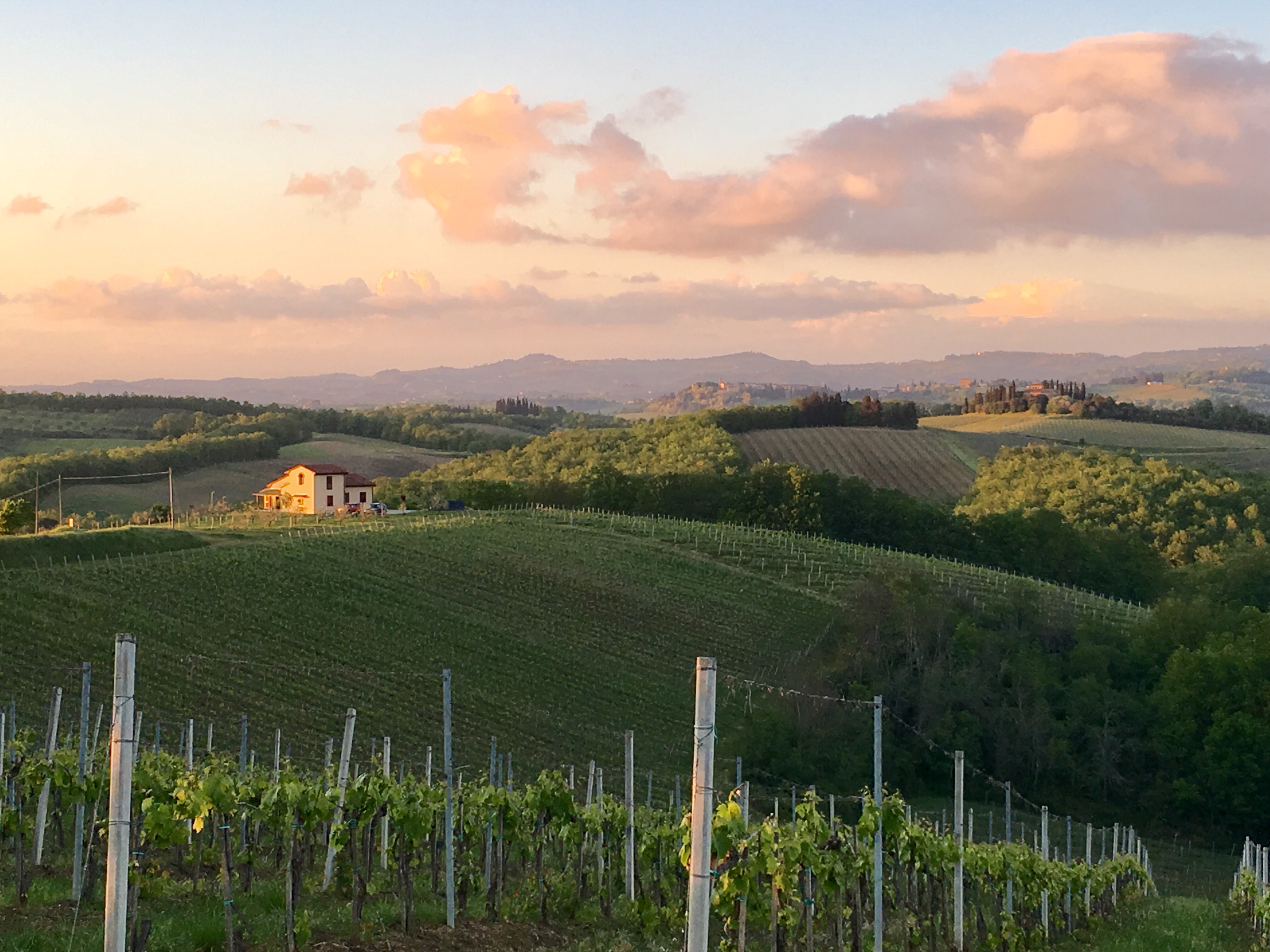 fullsizeoutput_18720