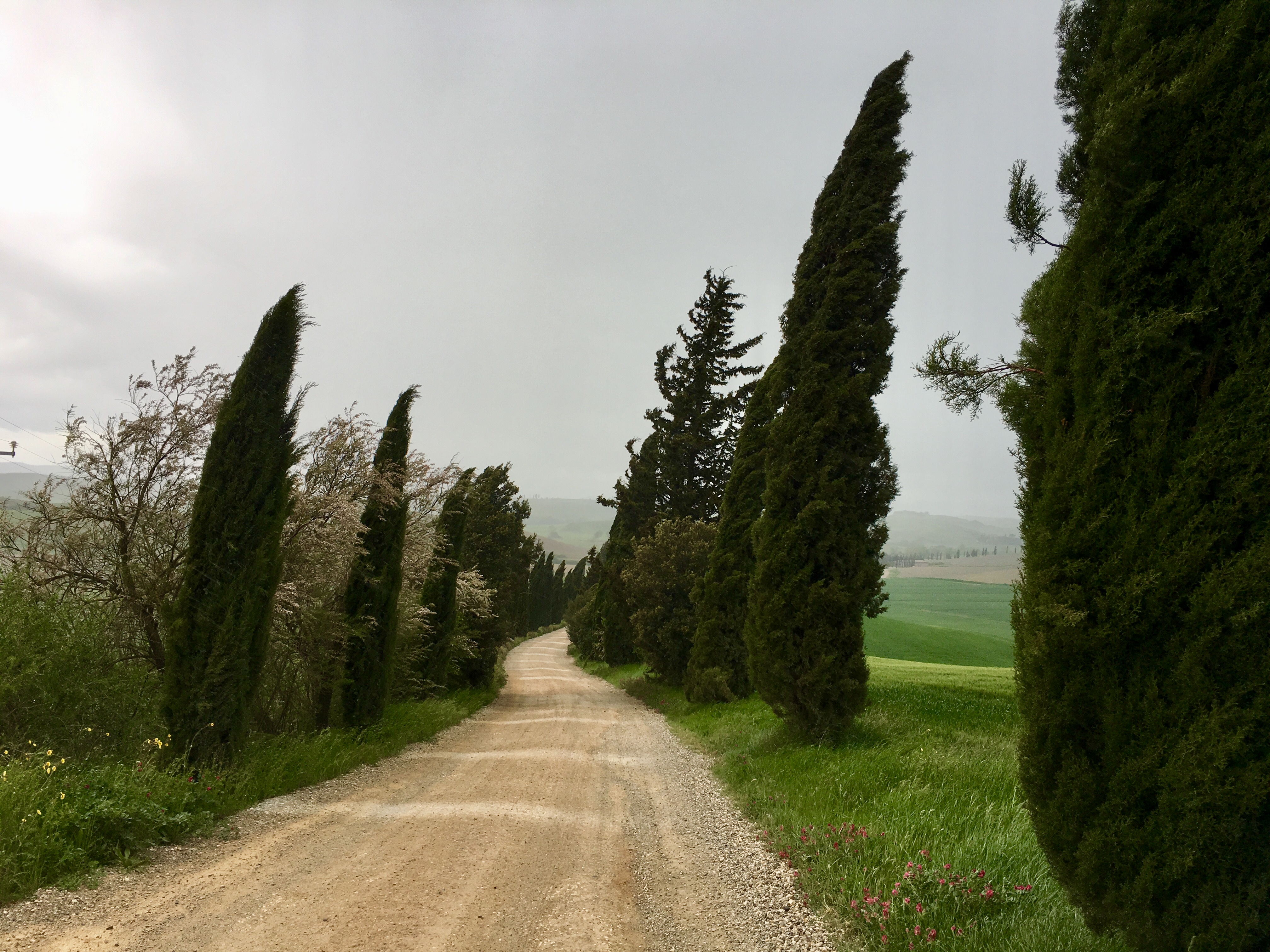 fullsizeoutput_187d9