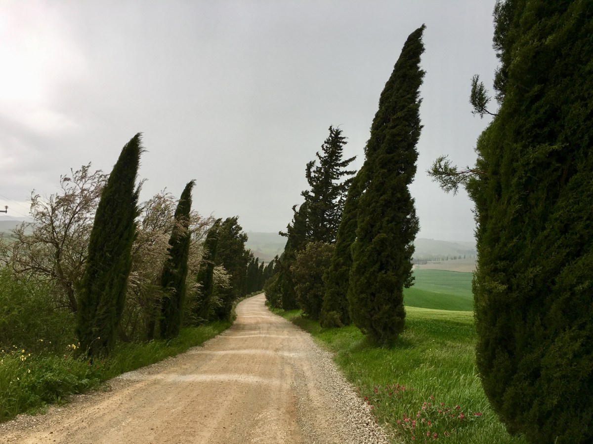 fullsizeoutput_187d9