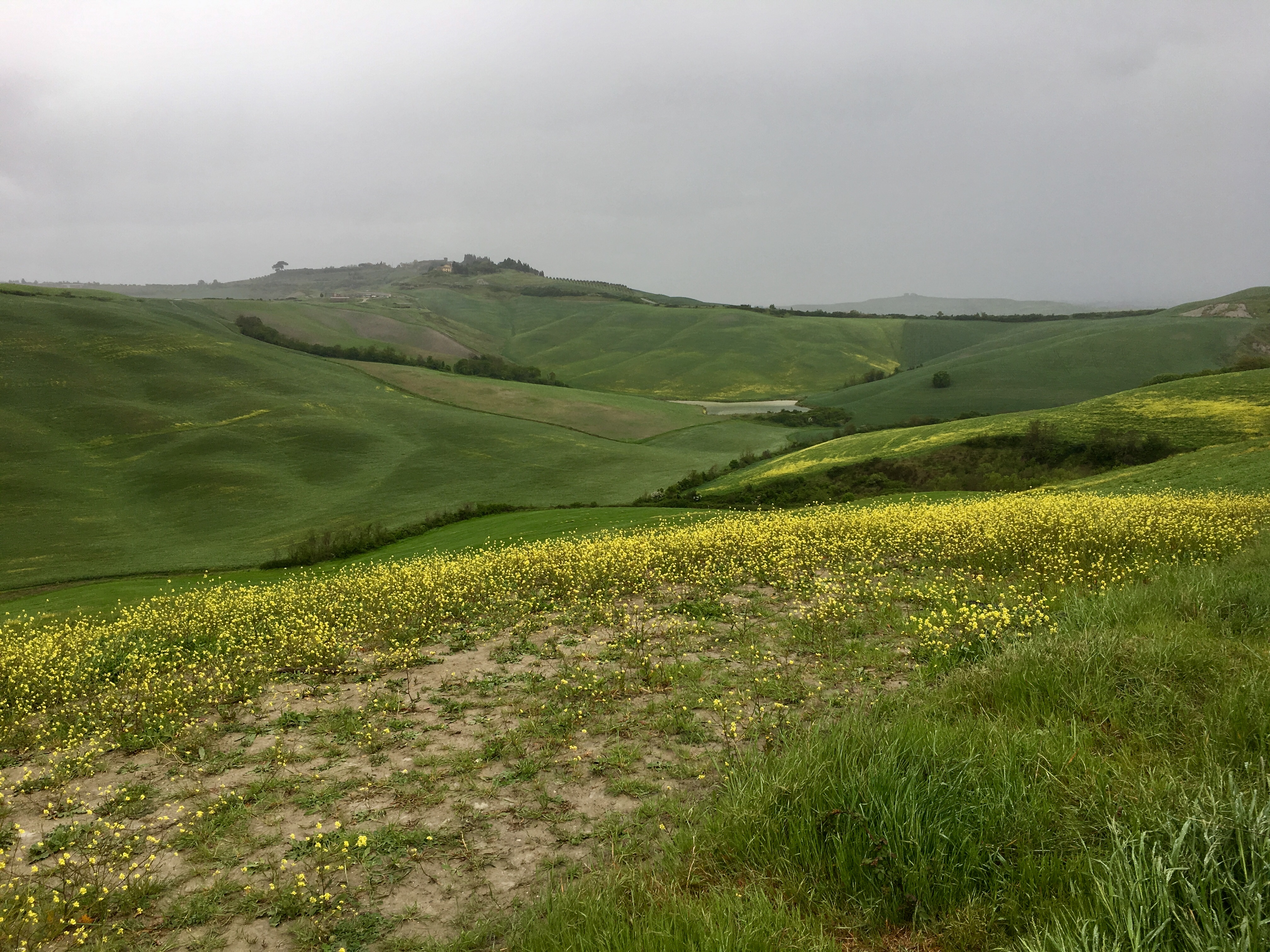 fullsizeoutput_187da