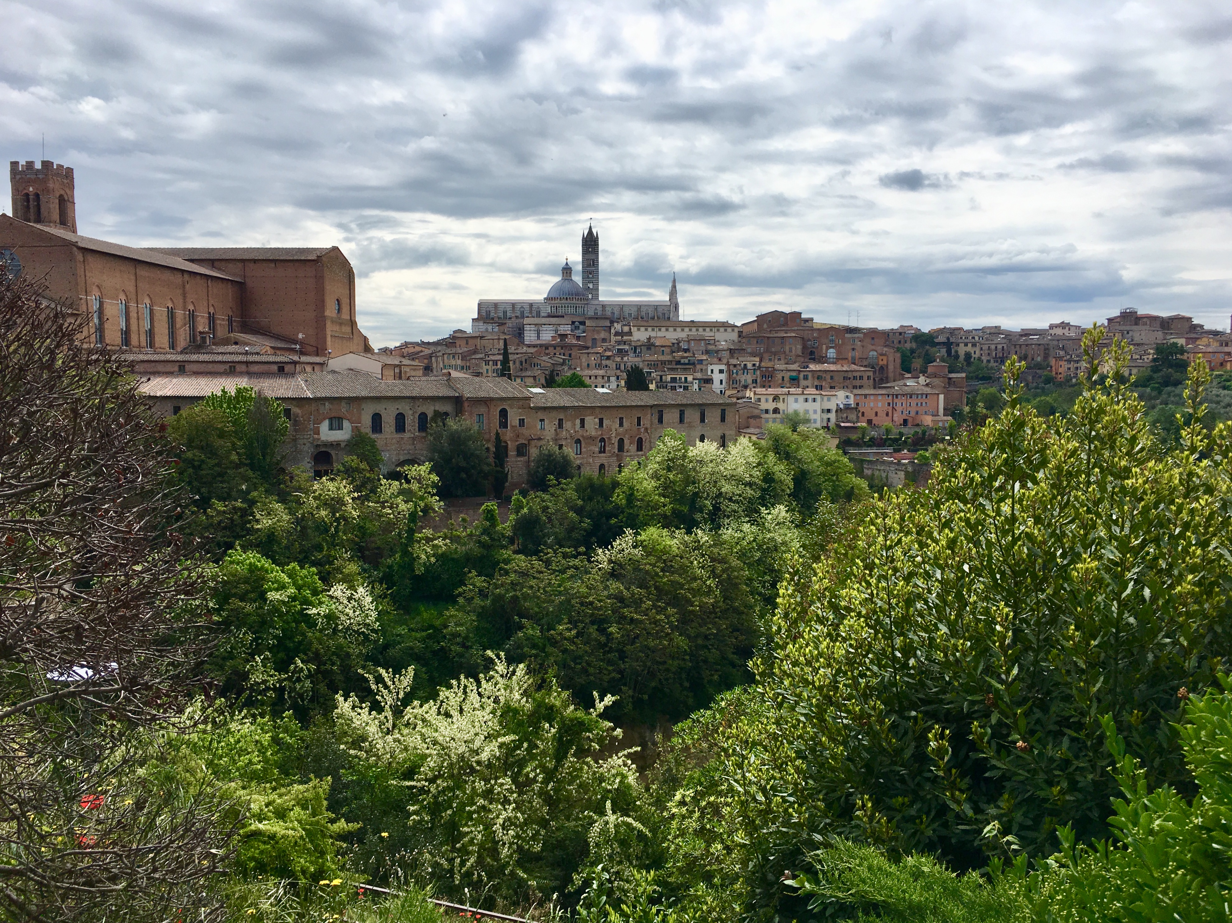 fullsizeoutput_18f5f