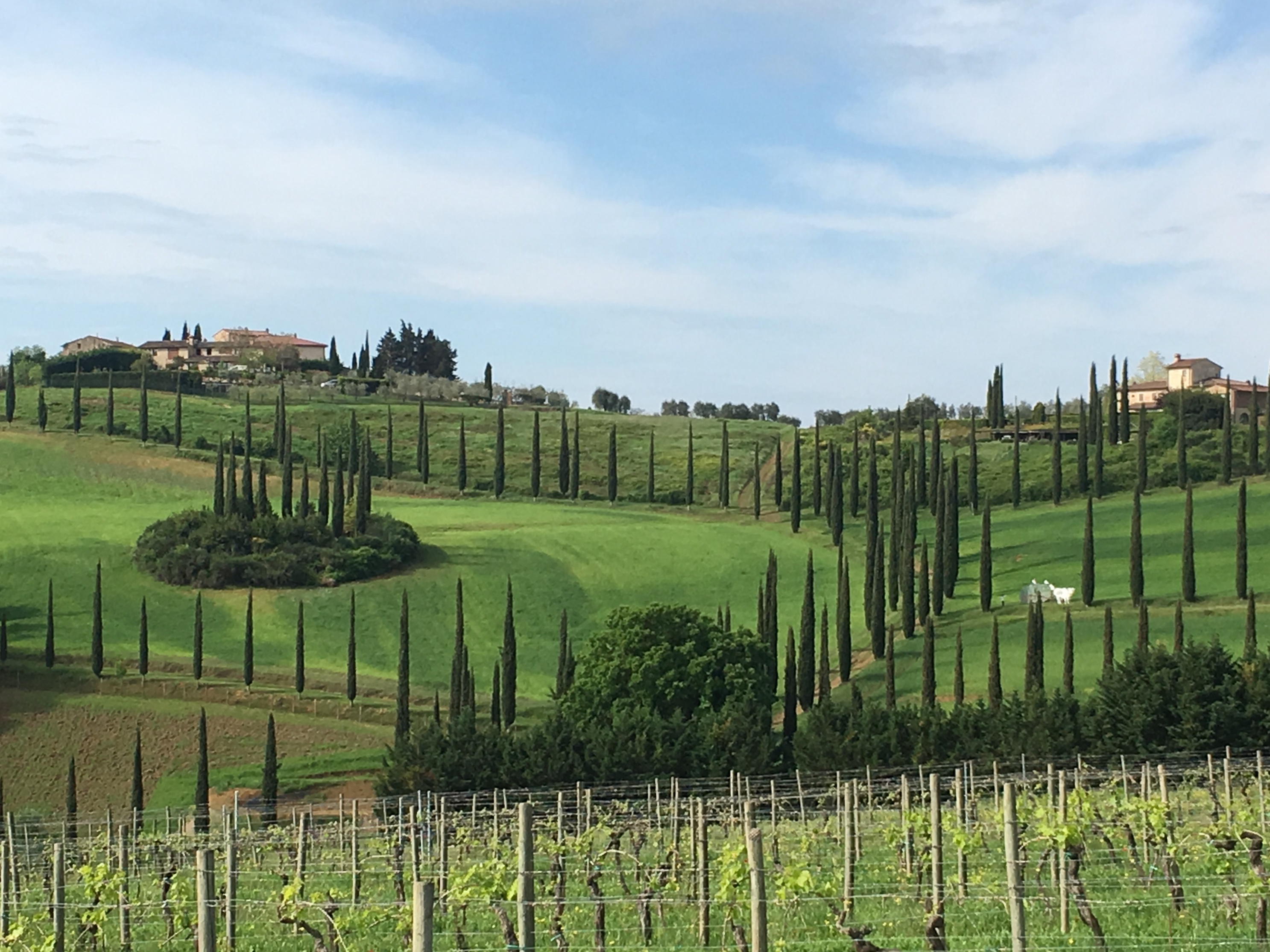 fullsizeoutput_18f69