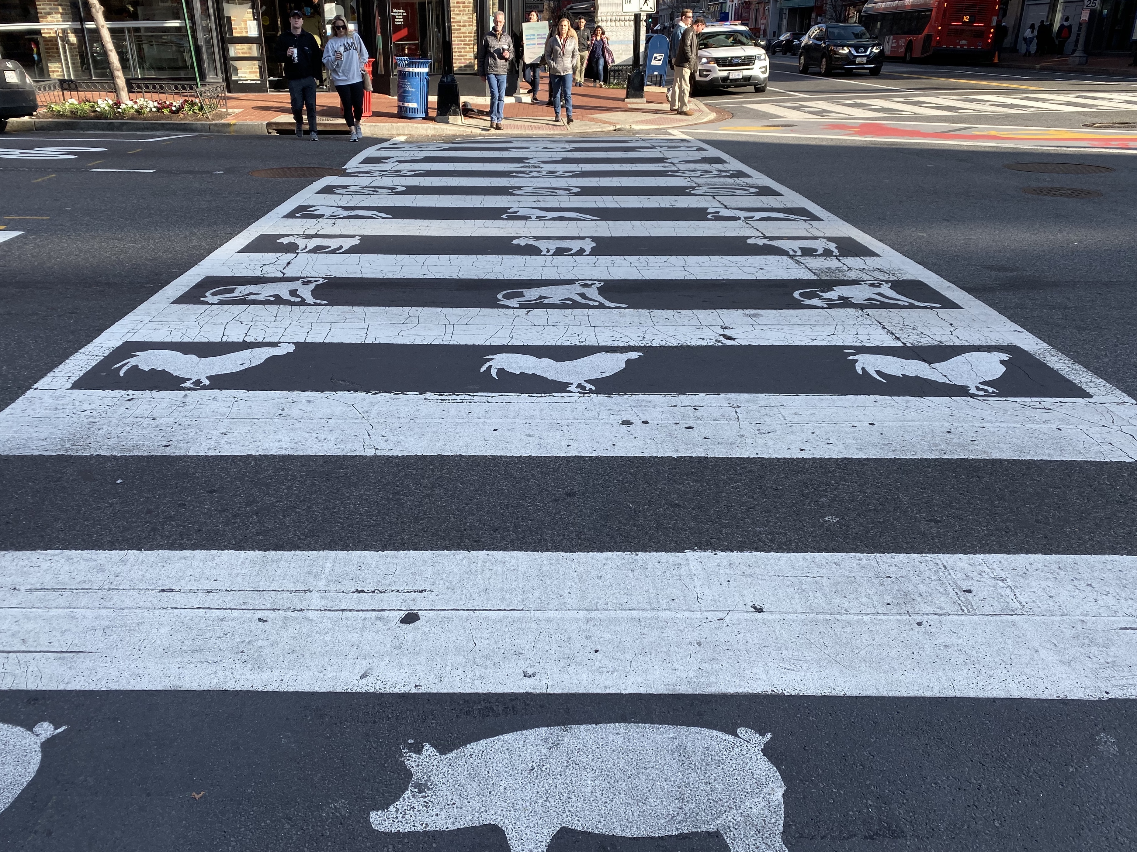 fullsizeoutput_1b858