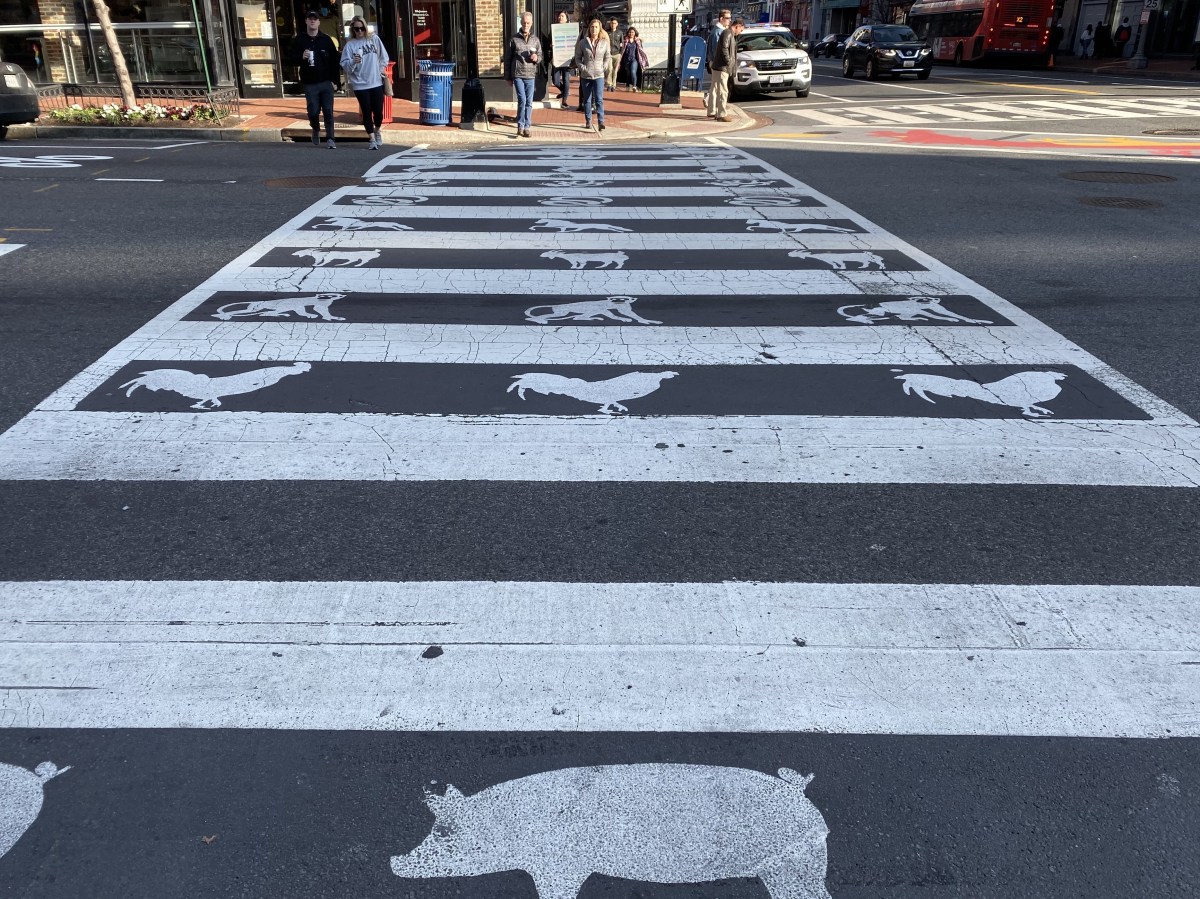 fullsizeoutput_1b858