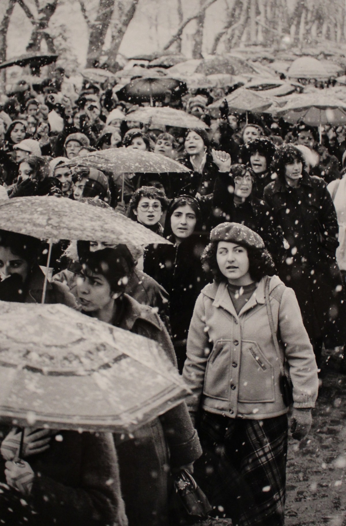 fullsizeoutput_1b8e5