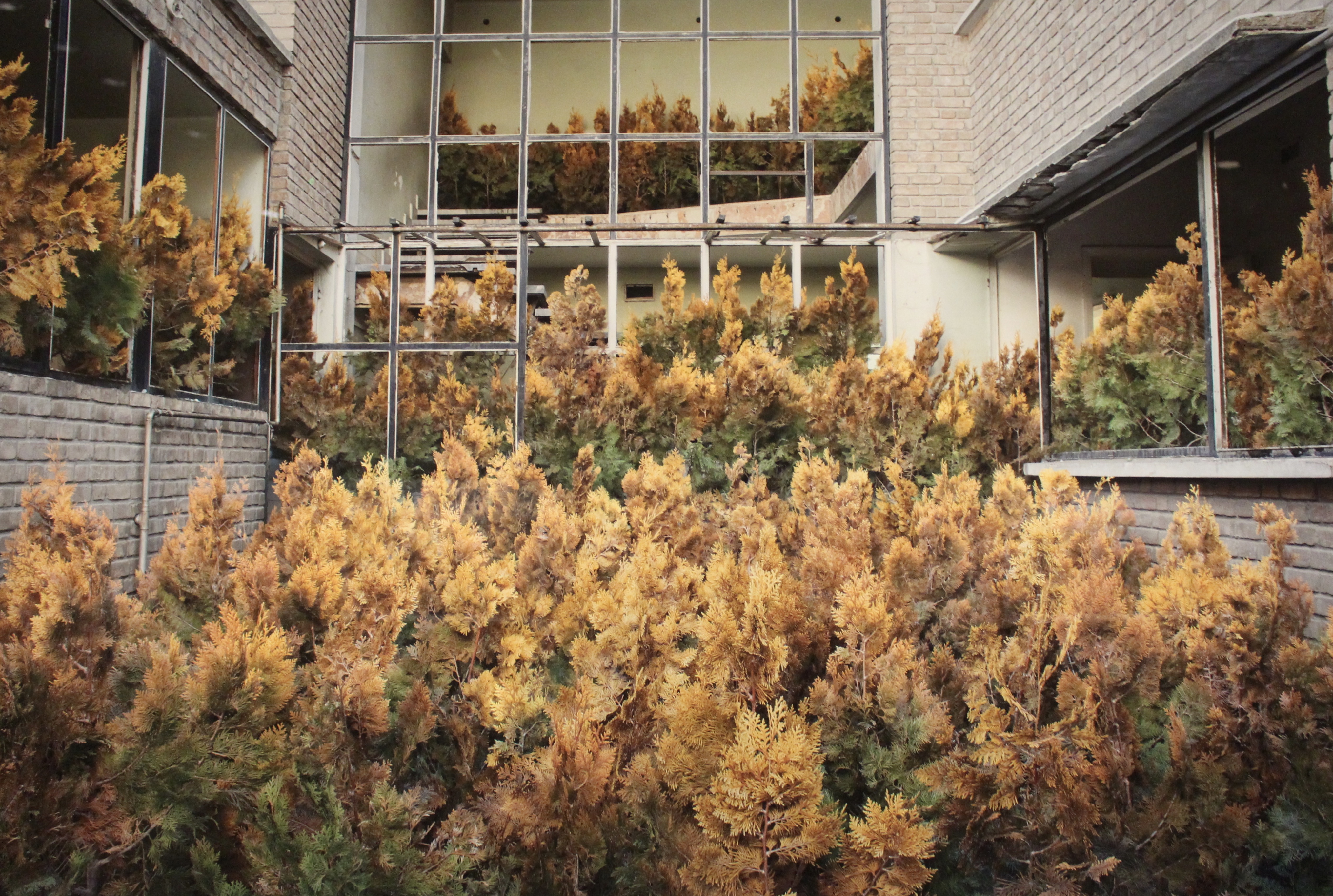 fullsizeoutput_1b8f5