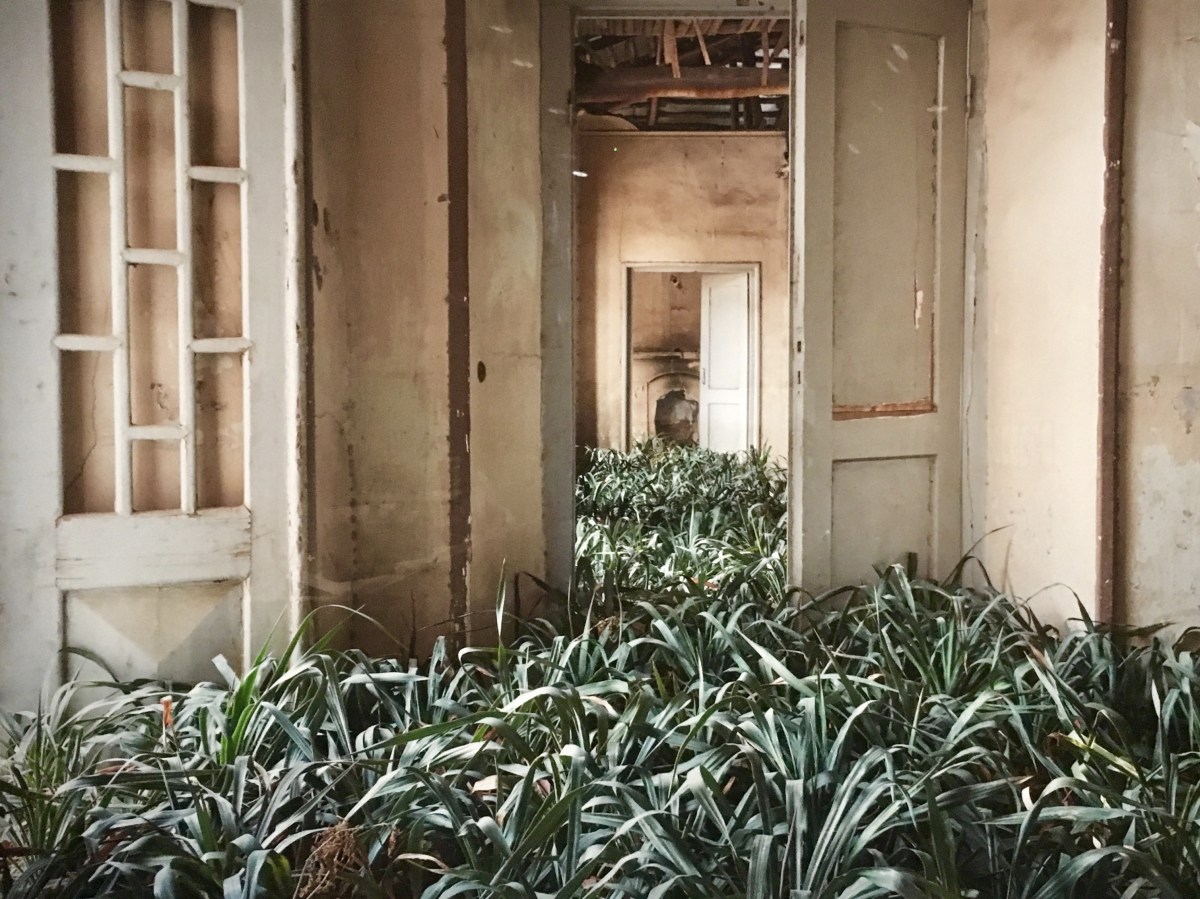 fullsizeoutput_1b8f7