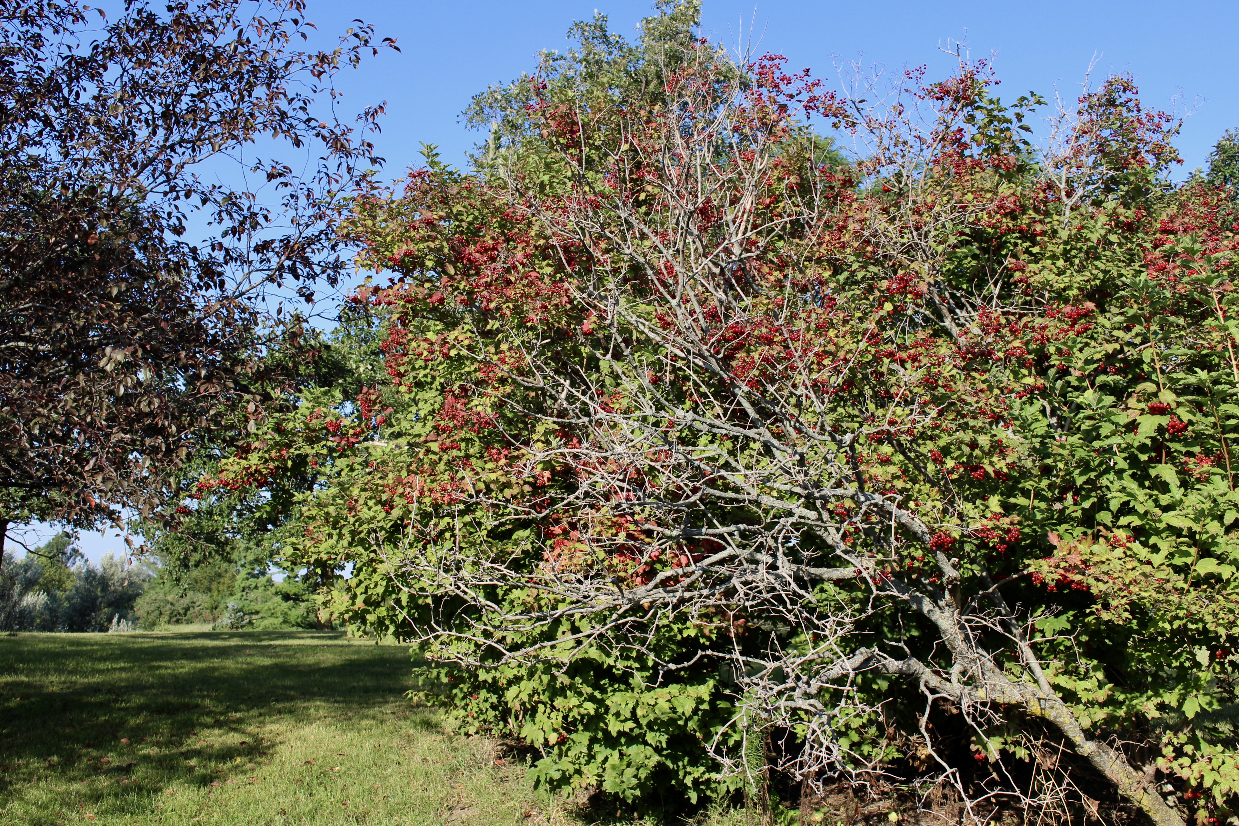 fullsizeoutput_1c3c8