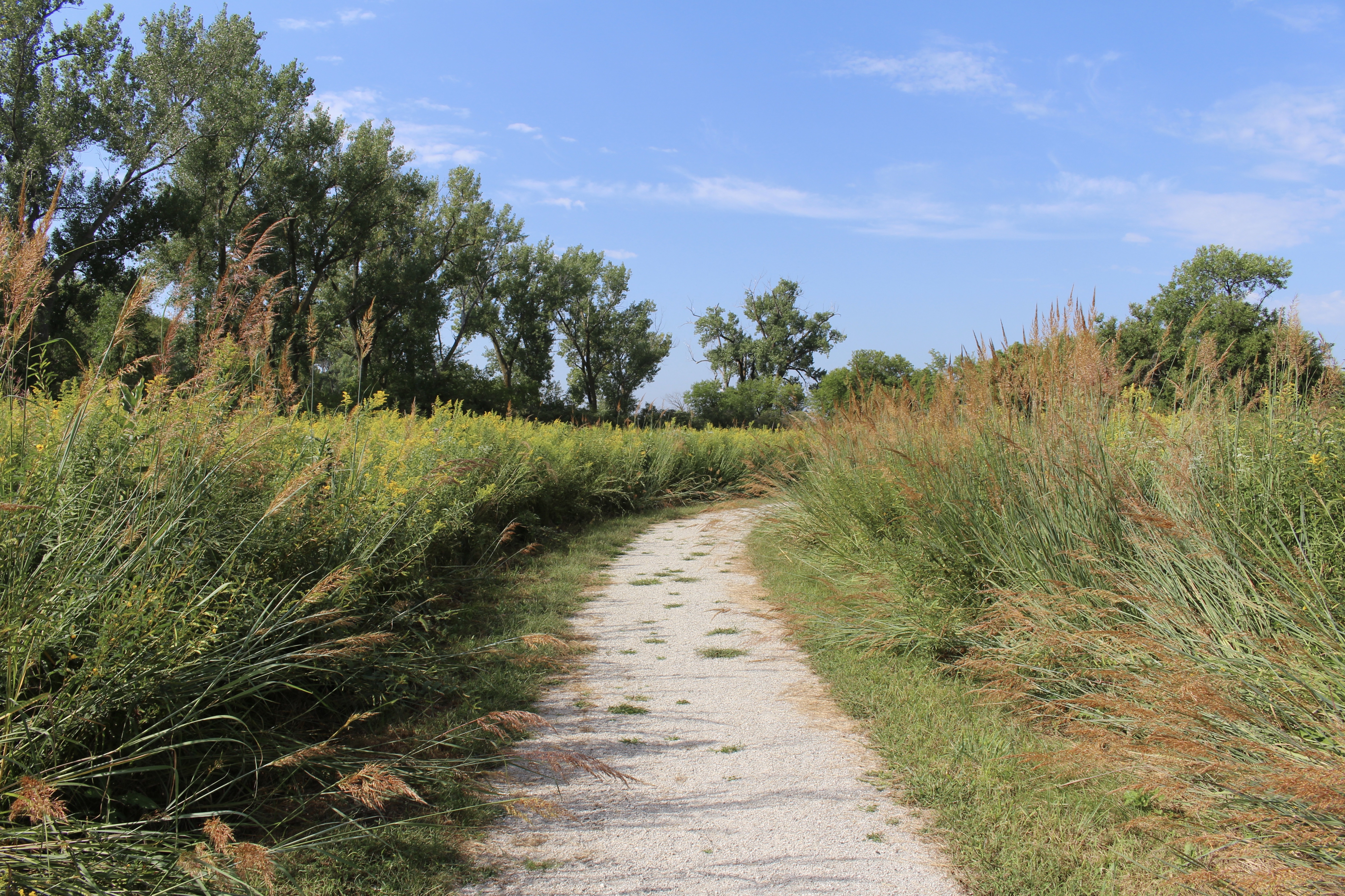 fullsizeoutput_1c3f1