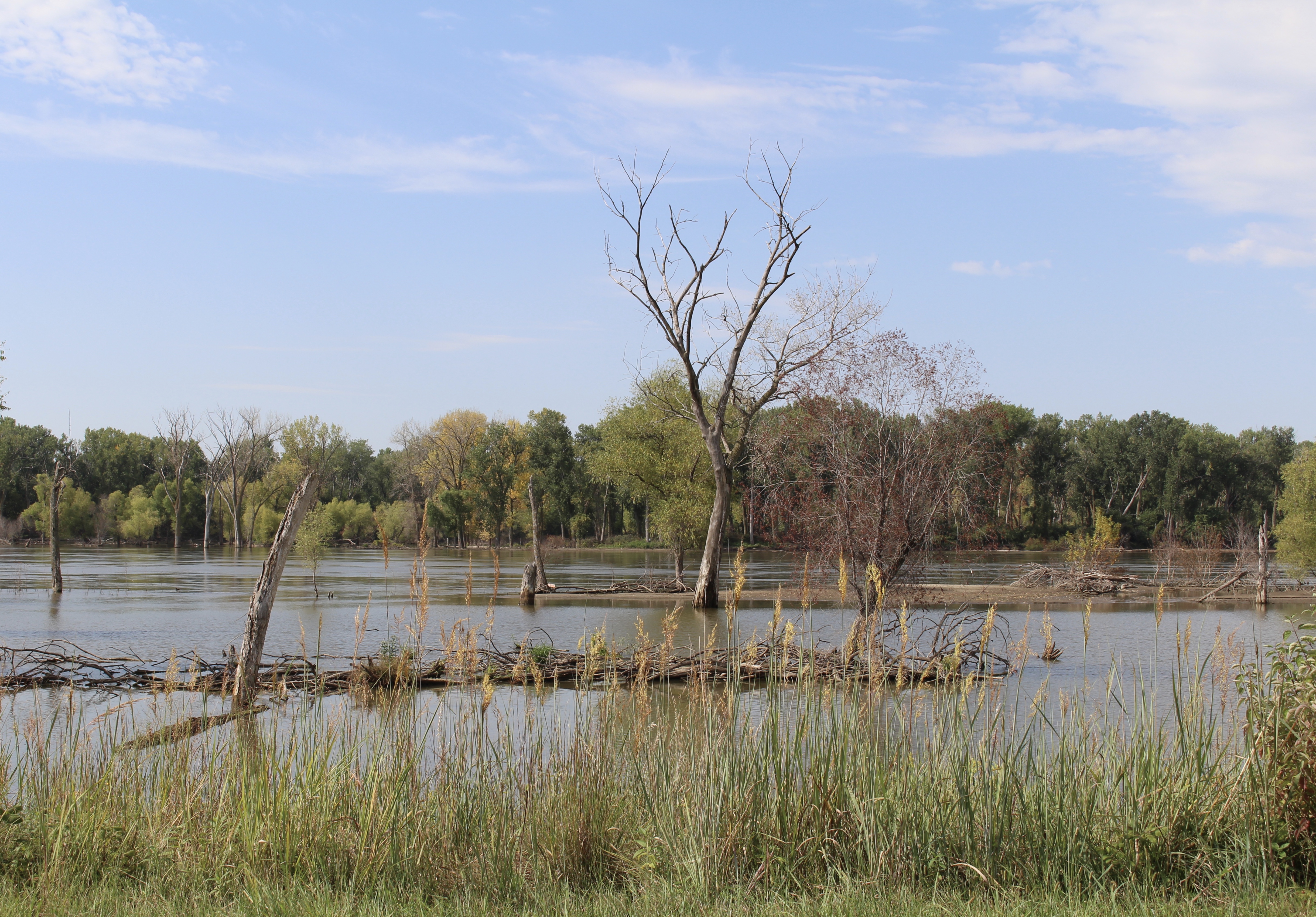 fullsizeoutput_1c3f5