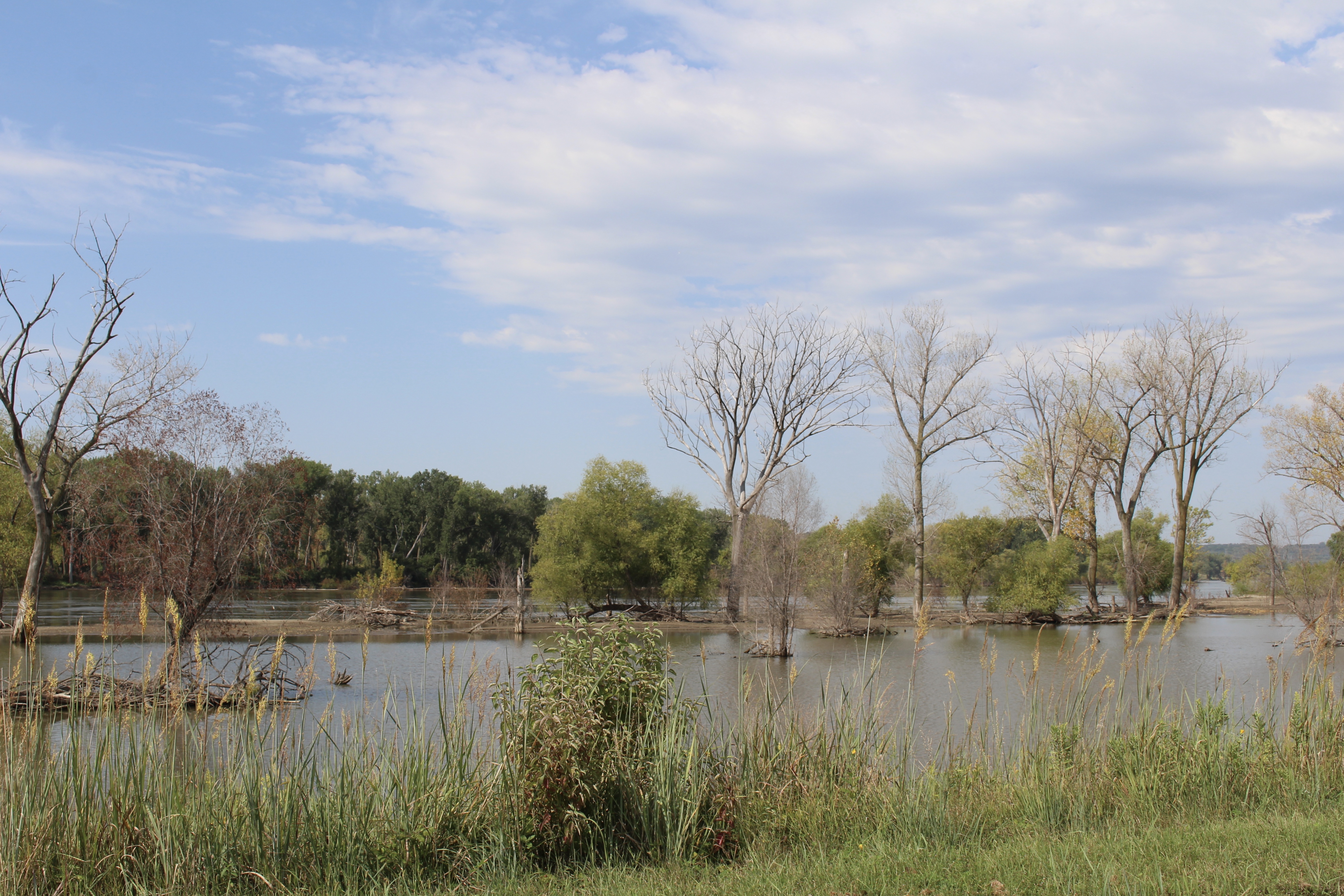 fullsizeoutput_1c3f6