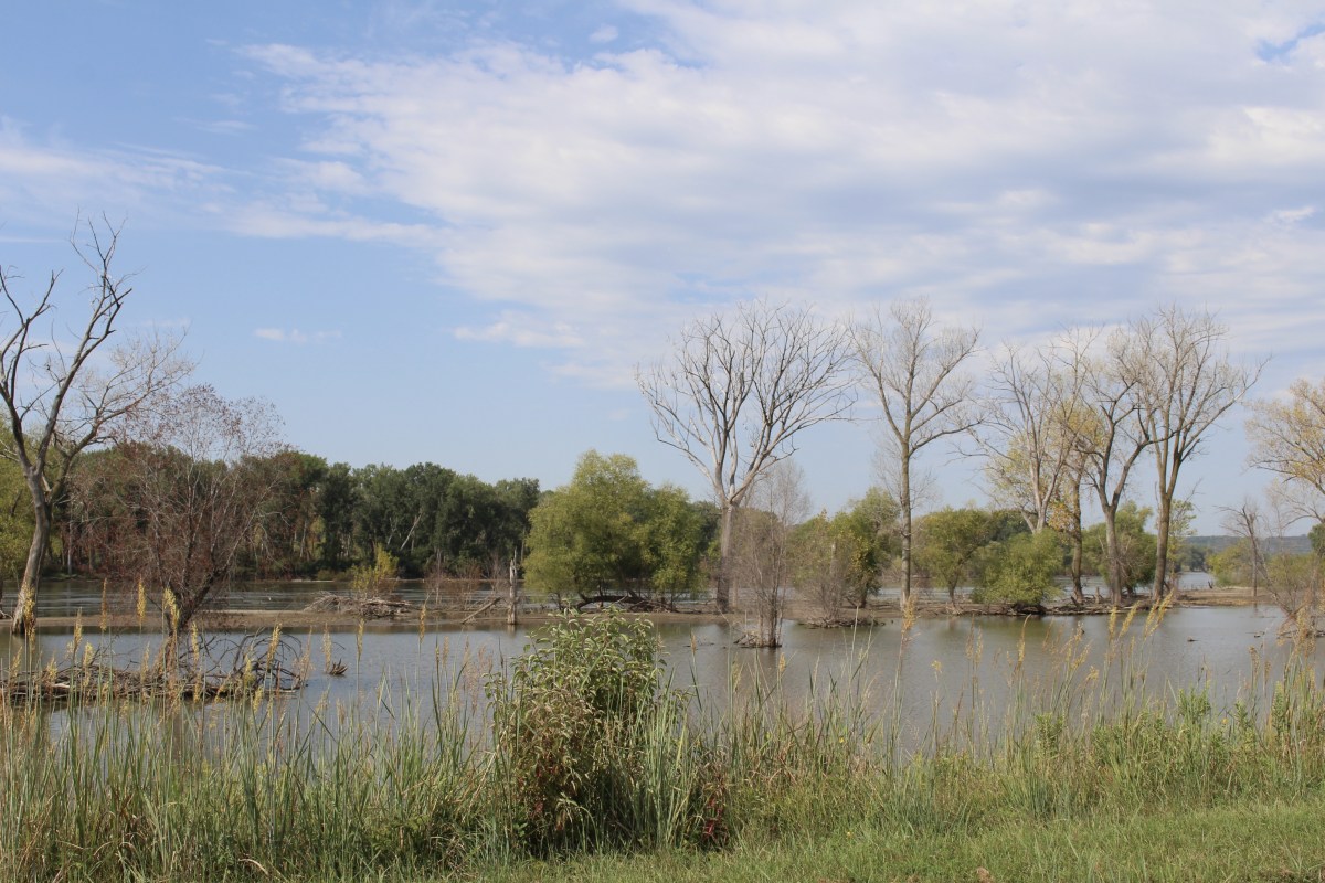 fullsizeoutput_1c3f6