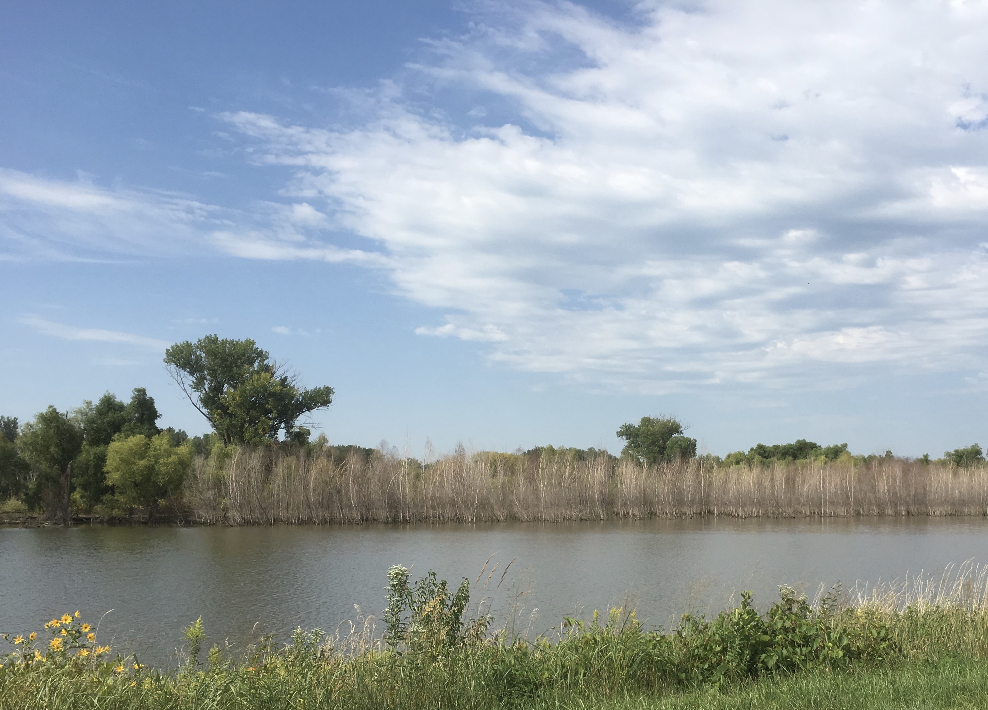 fullsizeoutput_1c43c