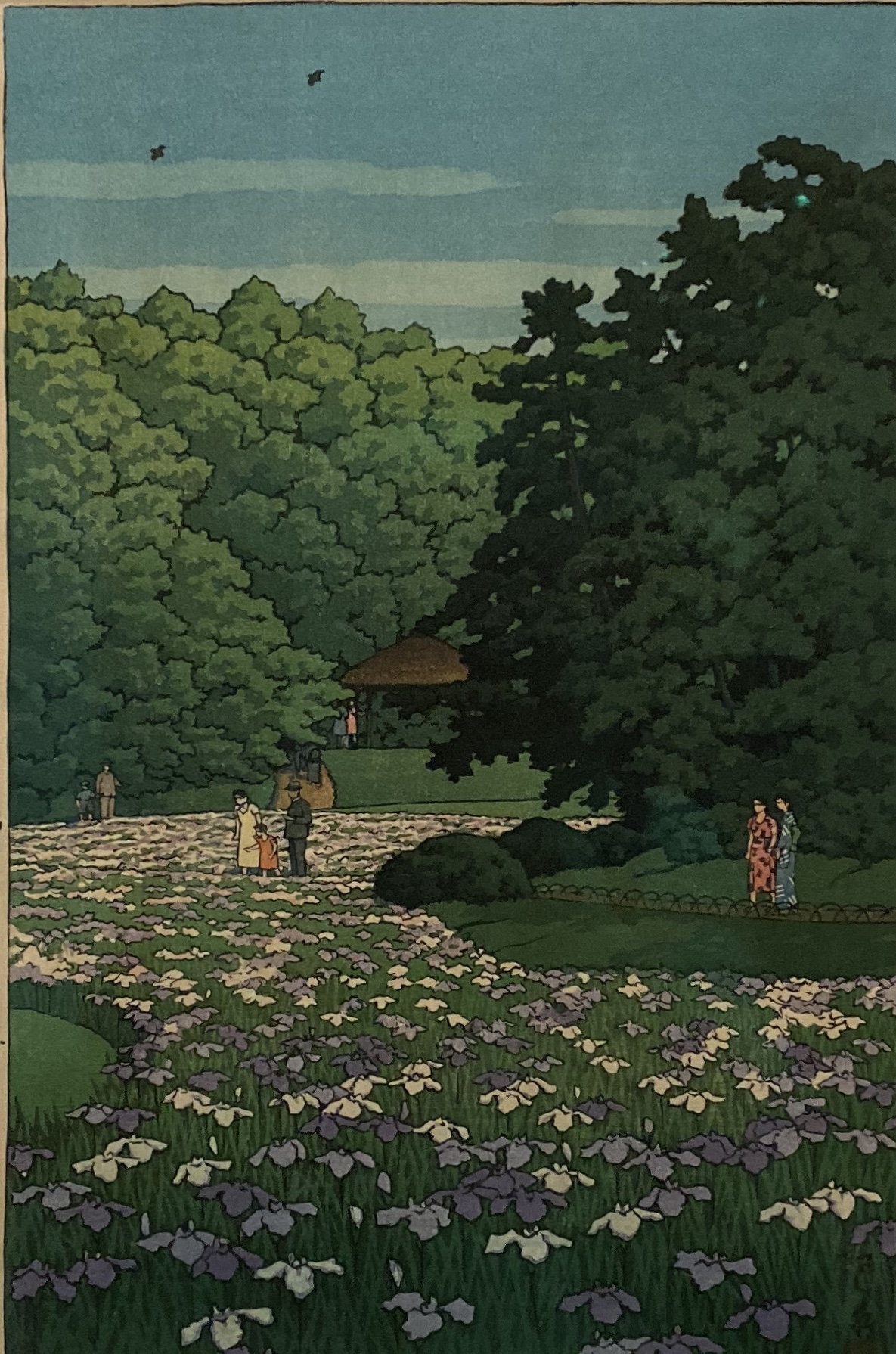 fullsizeoutput_1d96f