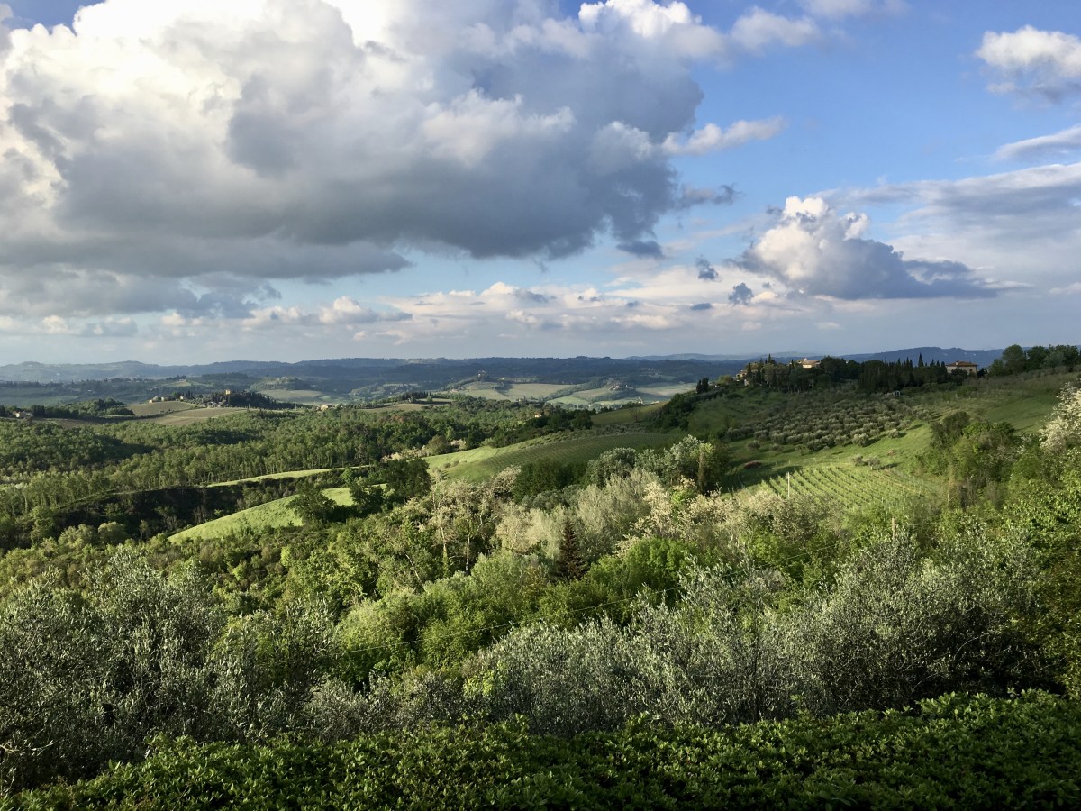 fullsizeoutput_1dddf