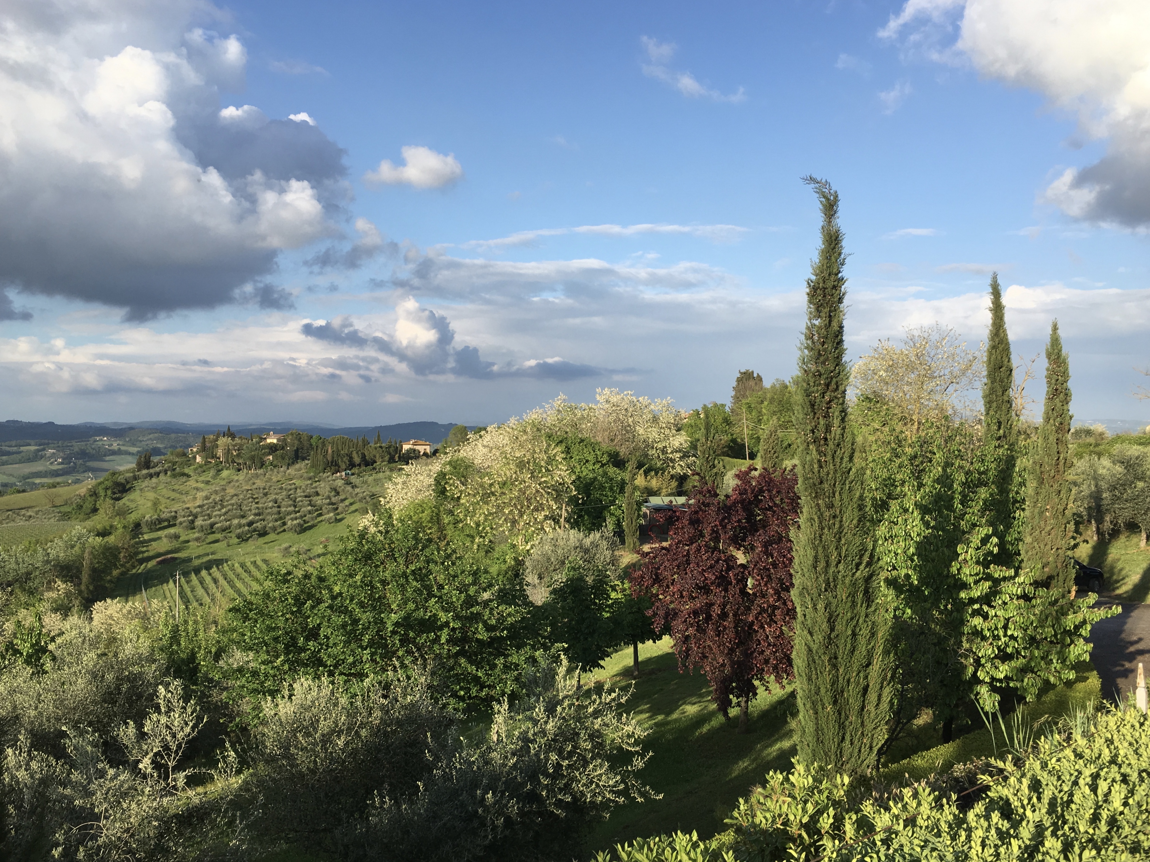 fullsizeoutput_1dde4