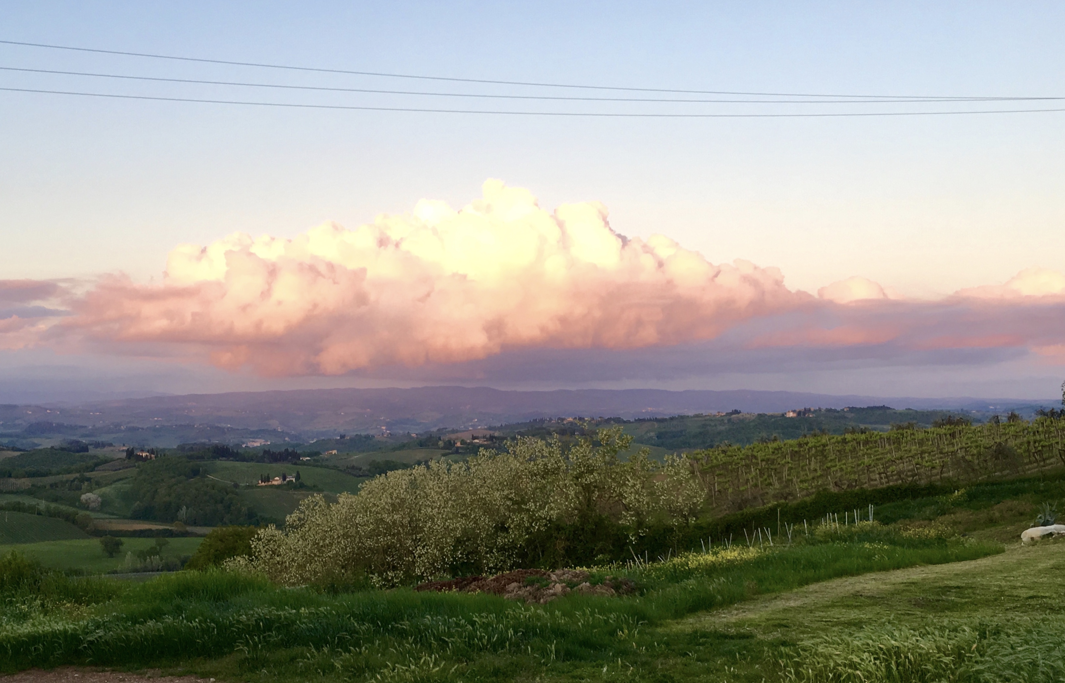 fullsizeoutput_1ddf2