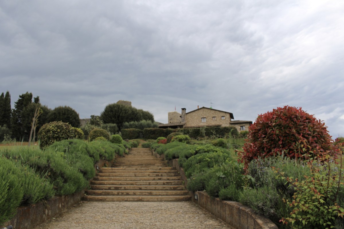 fullsizeoutput_1ddfb