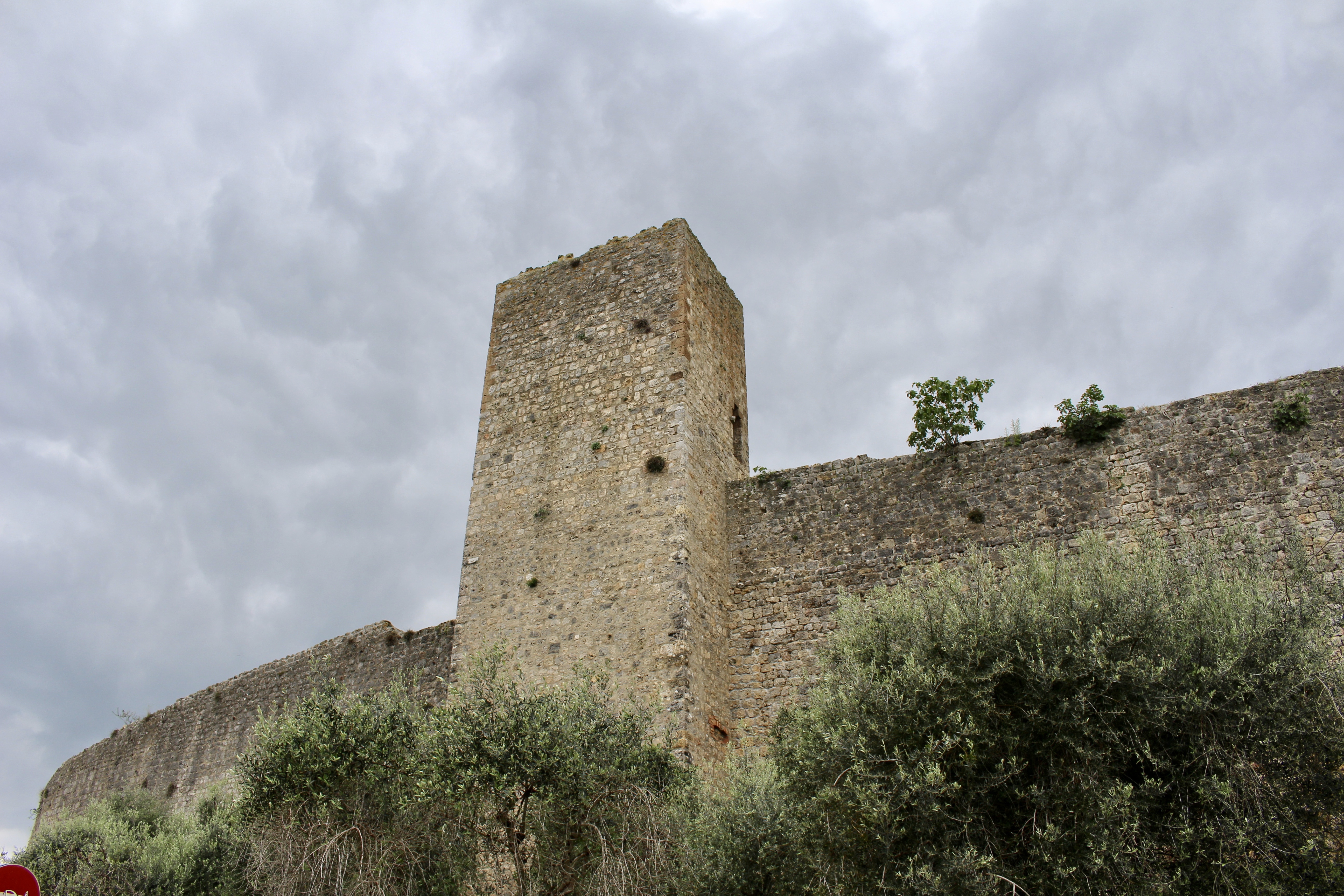 fullsizeoutput_1ddfc